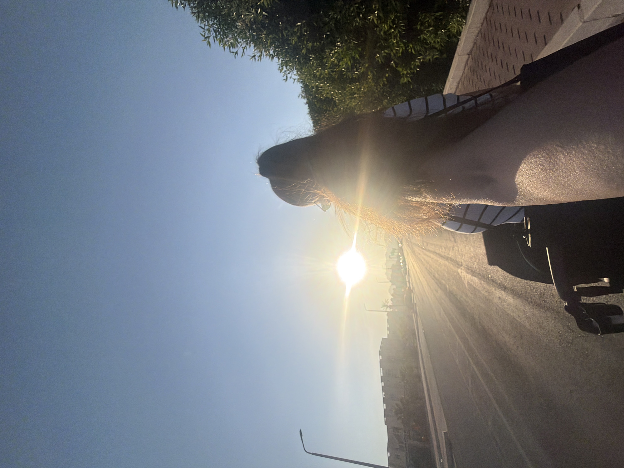 In the city of Sharm El Sheikh, Egypt, a person is seen from behind, viewed from their perspective, as they stand on a sidewalk next to a street. The sun is shining brightly, creating a lens flare effect. The person has long, dark hair that is partially obscuring their face and shoulders. They are wearing a striped shirt and carrying a black bag. The sidewalk is paved with red bricks, and there are green trees and buildings in the background. The sun is low in the sky, casting long shadows on the street.