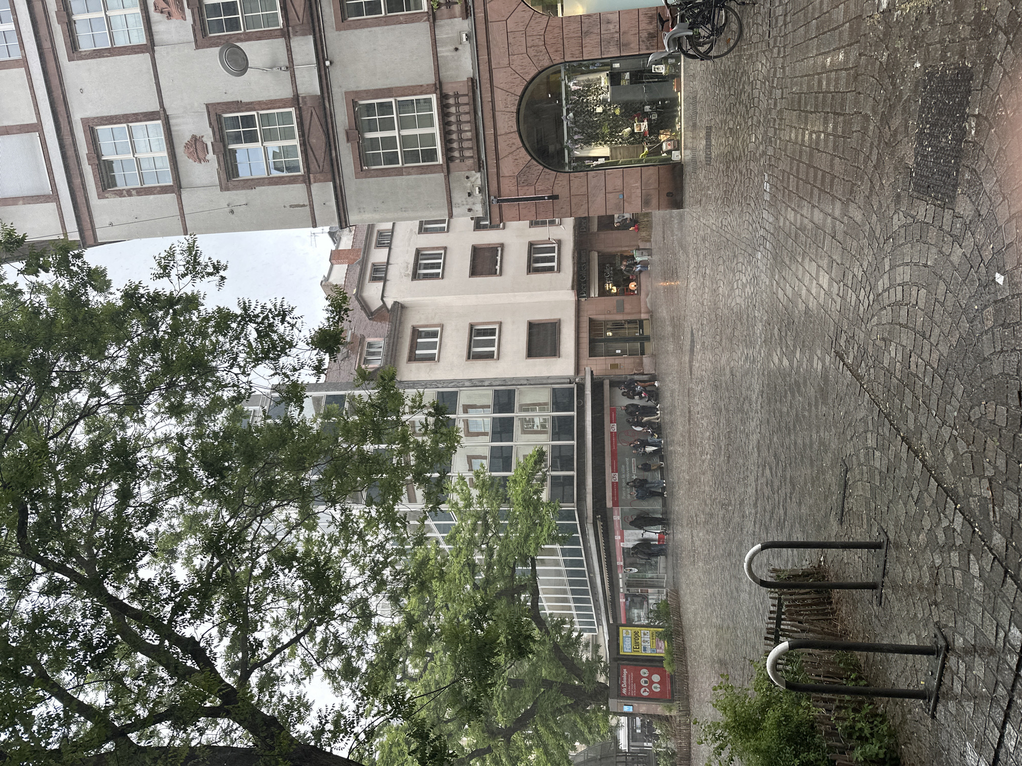 The image depicts a street scene in Strasbourg, France, taken on a rainy day. The buildings are a mix of old and modern architecture. A tall tree with lush green foliage occupies the left side of the frame, partially obscuring the view of the buildings behind it. The street is paved with cobblestones, glistening from the rain. On the right side, two metal bike racks stand beside a low wooden fence and some greenery. Several people are walking on the sidewalk along a building with reflective glass windows and advertising posters. A store named "Dieter Gilles Damen" is visible on one of the buildings. A bicycle is parked near a shop with an arched window. The overall atmosphere is wet and urban.