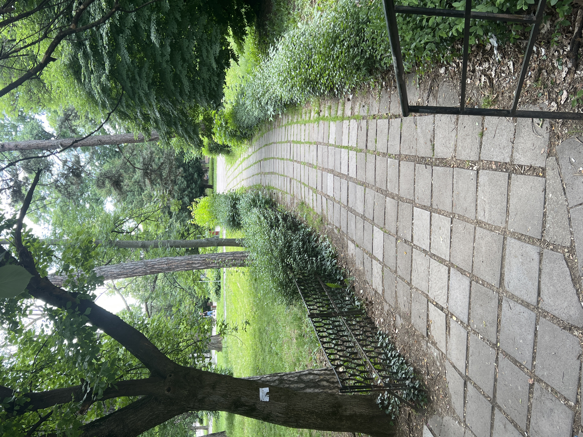 The image shows a winding paved path in a park. The path is made of square concrete slabs laid in a staggered pattern, with grass growing between them. The path is bordered by lush green bushes and trees. On the left side of the path, there is a black wrought-iron fence. In the background, a person is walking on a grassy area. The scene appears to be in a park in Sofia, Bulgaria.