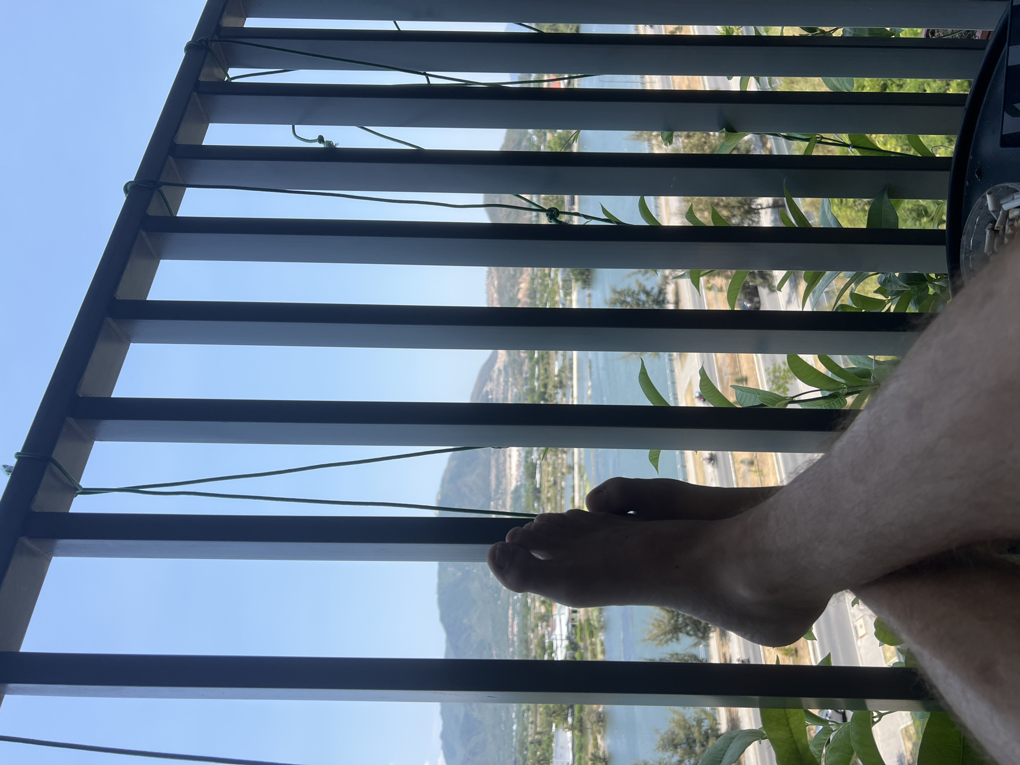 A first-person perspective image looking through a dark metal balcony railing with vegetation, displaying a view of Nha Trang, Vietnam. The foreground includes a pair of fair-skinned, hairy legs and feet resting on the railing. In the background, a city with buildings and greenery is visible along the coastline of the blue water with mountainous regions in the distance under a clear blue sky. A road runs parallel to the coast.
