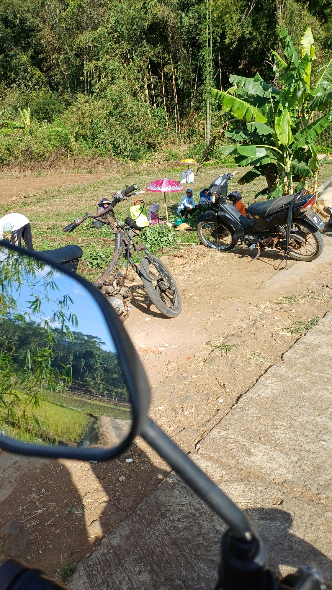 Memory