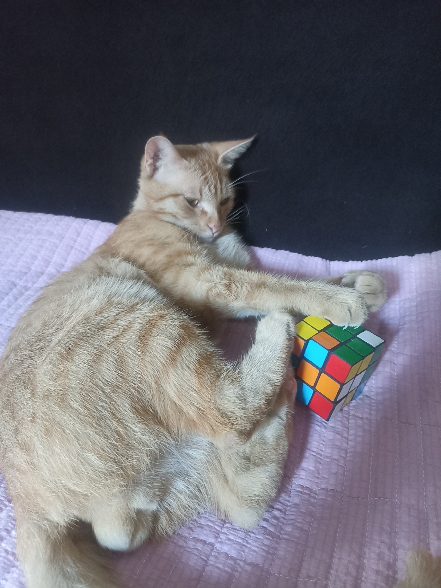 An orange tabby cat is lying on a pink quilted surface with a Rubik's Cube. The cat is positioned on its side, with its head resting on its paws and its body curled. Its tail is not visible. One of its front paws is placed on top of the Rubik's Cube, which is a standard 3x3 cube with red, orange, yellow, green, blue, and white sides. The background is a dark, textured surface, possibly a blanket or wall. The lighting suggests an indoor environment. The image is taken from a slightly elevated angle. This scene is not located in Osh City, Kyrgyzstan.