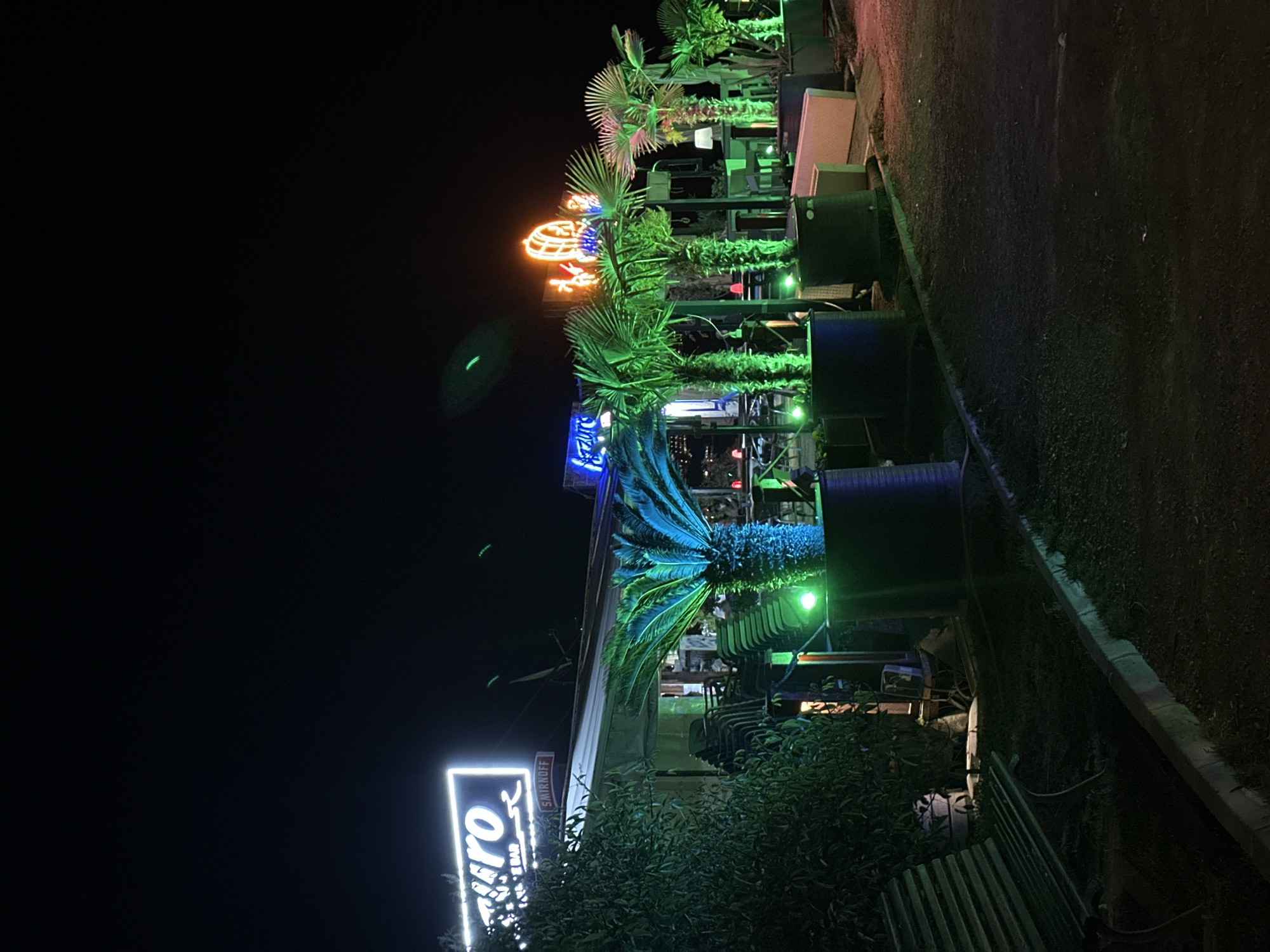 The image depicts an outdoor seating area in Budva, Montenegro, at night. The "Zero Bar Budva" sign is visible. The bar has outdoor tables and chairs, decorated with palm trees and neon lights. Greenery borders the area. There is a bench along the side. A dark street/ground stretches to the side of the frame.