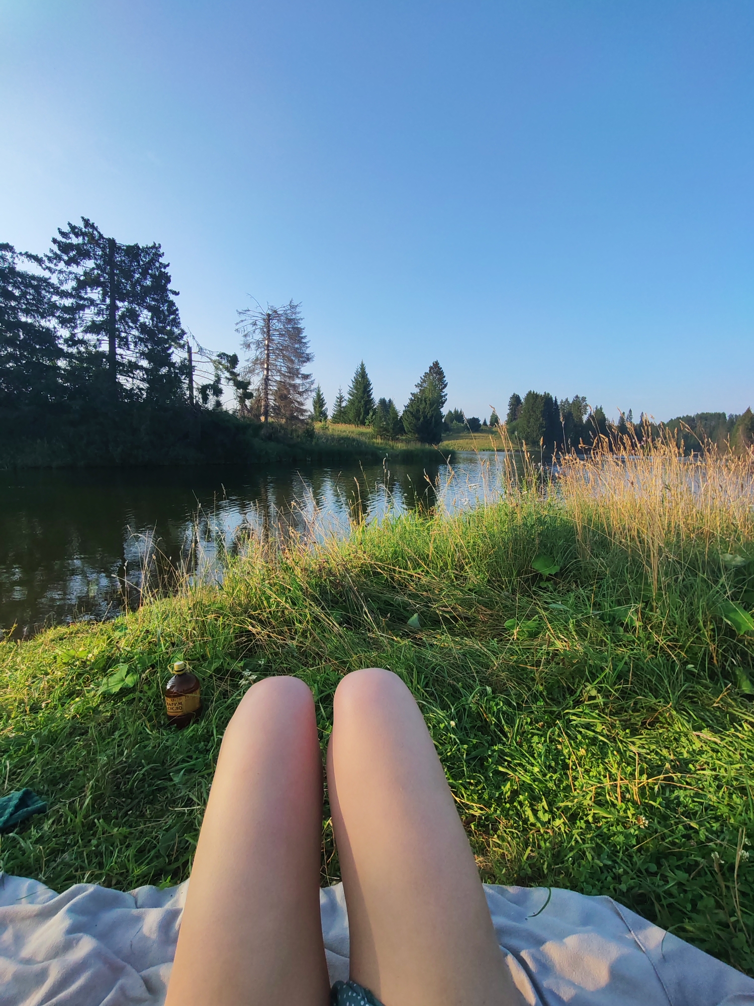 In Podshivalovo, Russia, an individual's legs are visible in the foreground, resting on a blanket. To the left of their legs, a brown bottle with a yellow cap sits on the grass. The background features a tranquil lake bordered by a lush green bank with tall, dry grass. Behind the lake, a dense forest with various trees, including some dead ones, stretches into the distance under a clear blue sky. The scene appears to be a peaceful outdoor setting, likely during the daytime.