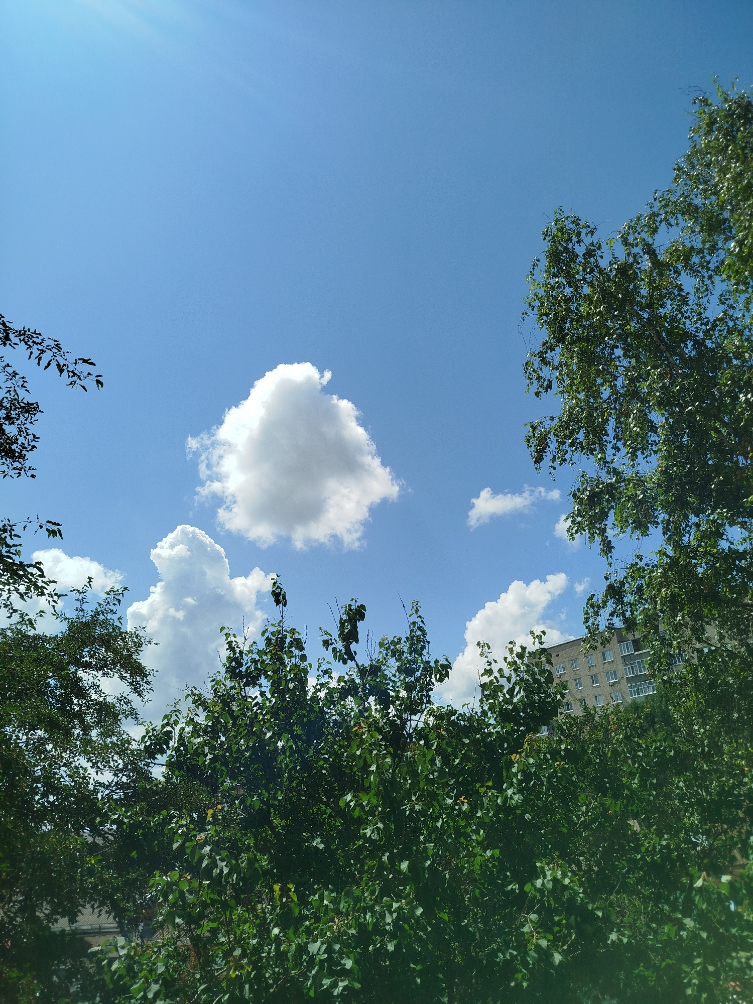 A bright, clear blue sky fills the majority of this outdoor shot, with a few fluffy white clouds scattered across it. The sun is shining brightly, casting some rays downwards on the left side of the image. In the foreground, a dense canopy of lush green foliage from trees and bushes obscures the ground and some structures.
On the right side of the image, peeking through the leaves, is a multi-story apartment building, likely made of concrete or brick, with numerous windows. The building appears to be in a residential area, possibly in Romny, Ukraine, given the context. The time of day appears to be daytime, with the strong sunlight and clear skies suggesting it could be late morning or early afternoon. The weather is pleasant and sunny.
The scene evokes a feeling of a warm, summer day. There are no people visible in the frame, and the focus is on the natural elements of trees and sky, with the urban building serving as a backdrop. The overall impression is one of a tranquil, everyday scene in an urban environment, with nature providing a vibrant contrast to the man-made structure.