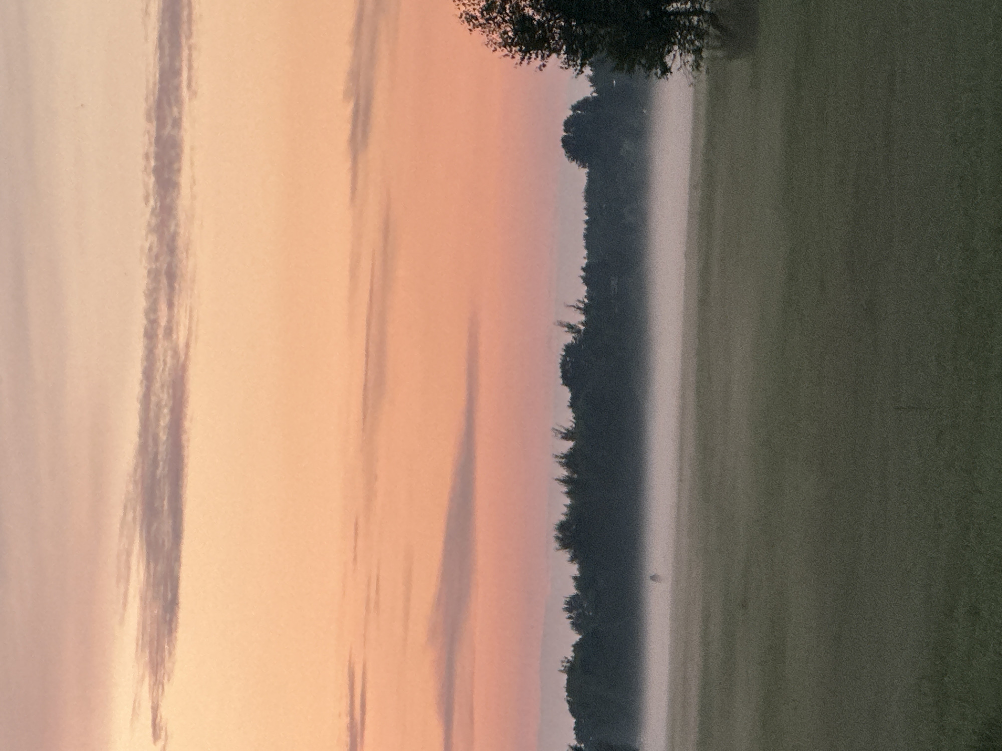 In Tiskre, Estonia, an early morning scene unfolds with a soft, diffused light painting the sky in hues of peach and lavender. A band of mist hugs the treeline, obscuring the lower portions of the dark silhouettes of trees that stretch across the horizon. In the foreground, a field of green grass extends into the distance, with a solitary, indistinct figure visible within the mist, suggesting a lone individual or perhaps an animal. A single tree stands prominently on the right side of the frame, its branches reaching upwards against the pastel sky. The overall atmosphere is one of quietude and natural beauty.