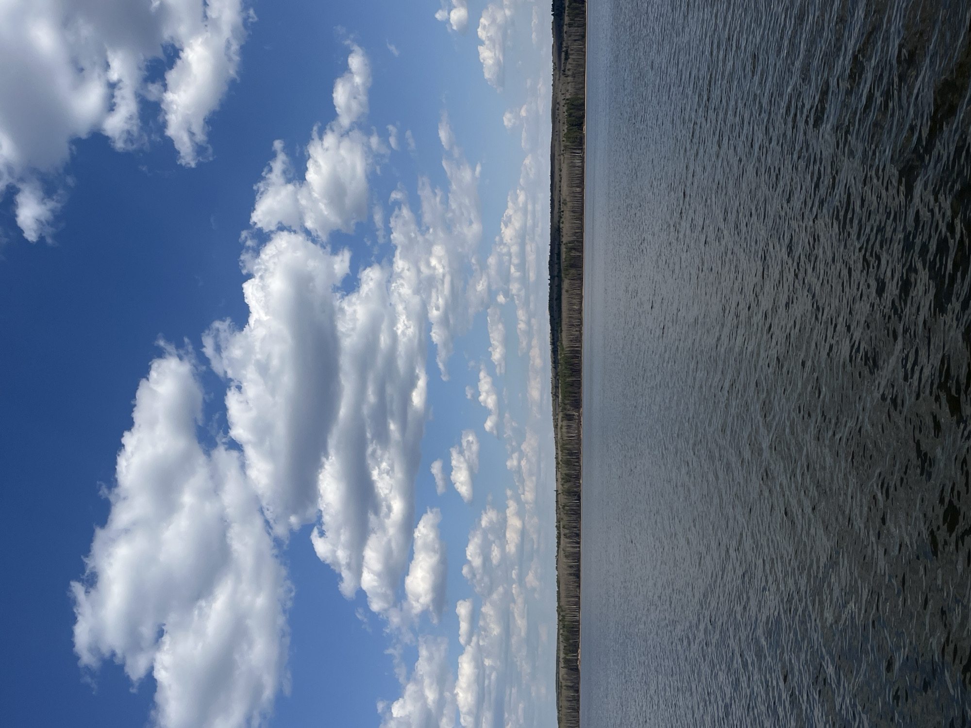 The image depicts a body of water, possibly the Kama River or a reservoir near Chaikovsky, Russia, under a bright blue sky with numerous scattered white cumulus clouds. A thin strip of trees lines the shore, separating the sky and water. There are no visible people, subjects, or actions in the image.