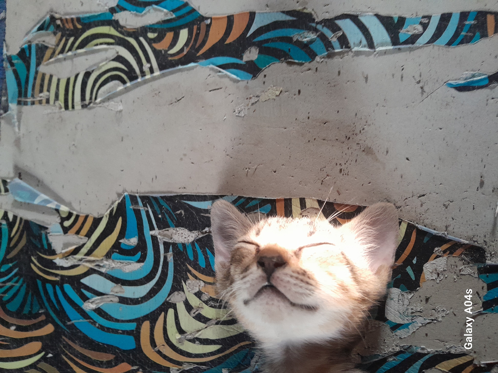 In Pilangpayung, Indonesia, a kitten with closed eyes is resting on a surface adorned with peeling, colorful wallpaper. The wallpaper features a swirling pattern of black, blue, yellow, and orange stripes. Sunlight illuminates the kitten's face, highlighting its fur and whiskers. The overall environment appears to be indoors, possibly in a residential setting, with the wallpaper indicating a decorated wall. The bottom left corner of the image displays "Galaxy A04s" as a watermark.