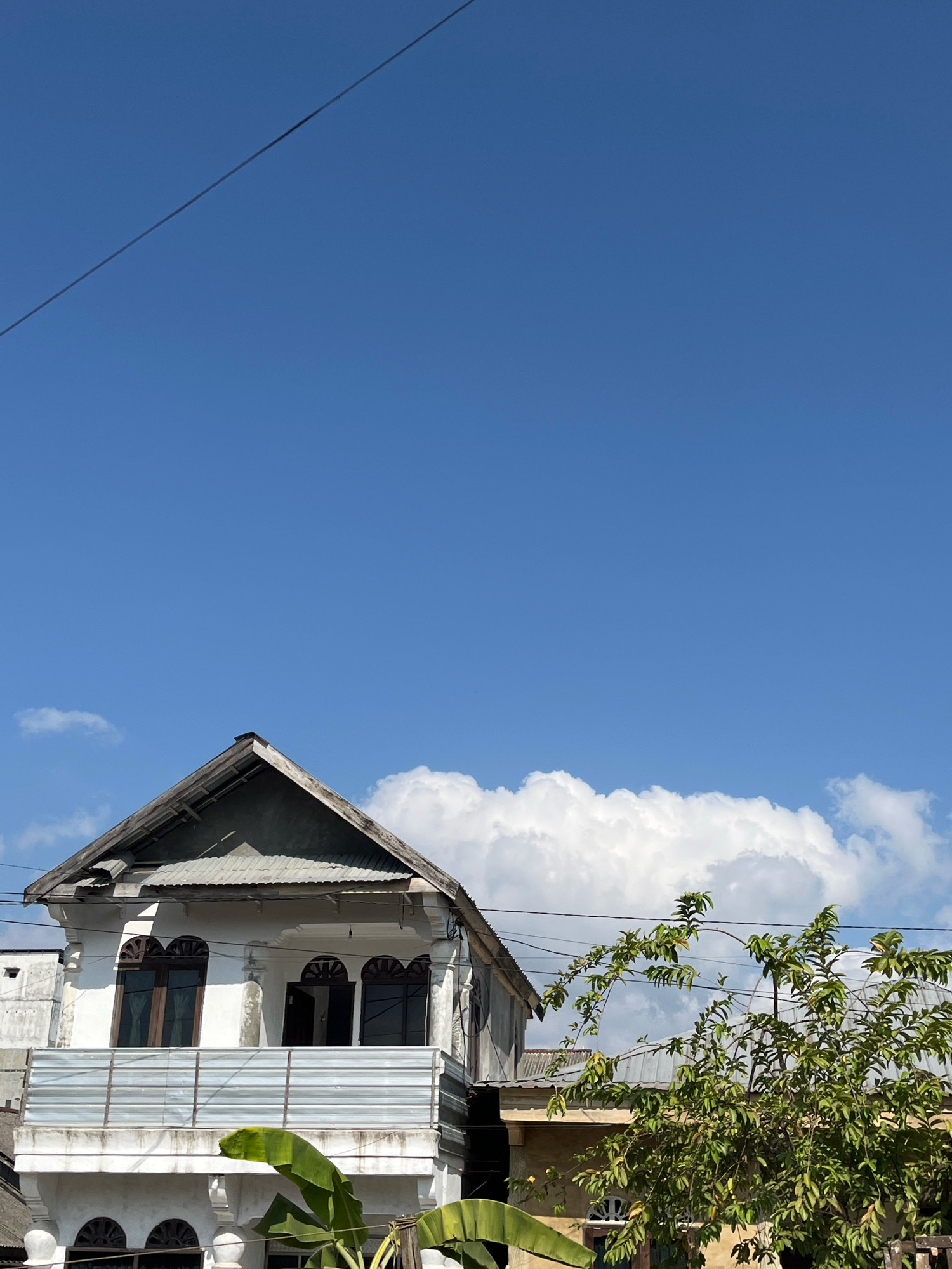 In the city of Tungkaran Pangeran, Indonesia, a two-story building with white exterior paint and ornate architectural details stands against a clear blue sky. The building features arched windows with dark wooden frames on the second floor and a balcony with a metal railing. A sloped, weathered roof caps the structure. To the right, a lush green tree with dense foliage grows, its branches extending towards the building. In the background, a large, puffy white cloud dominates the upper right portion of the sky, and a thin black wire stretches diagonally across the frame from the top left. The ground floor of the building is partially visible, showing decorative elements and more arched windows. Banana leaves are also visible in the foreground, framing the lower part of the scene.