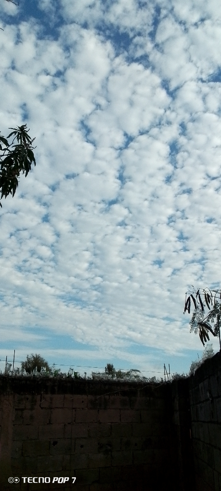 The image shows a partly cloudy sky above a wall, possibly in Altagracia, Venezuela. The clouds appear to be altocumulus. The wall is constructed of dark-colored blocks and has objects, possibly plastic bags, along the top. Green foliage is visible on both the left and right sides of the image. The image was taken with a Tecno Pop 7 mobile phone.