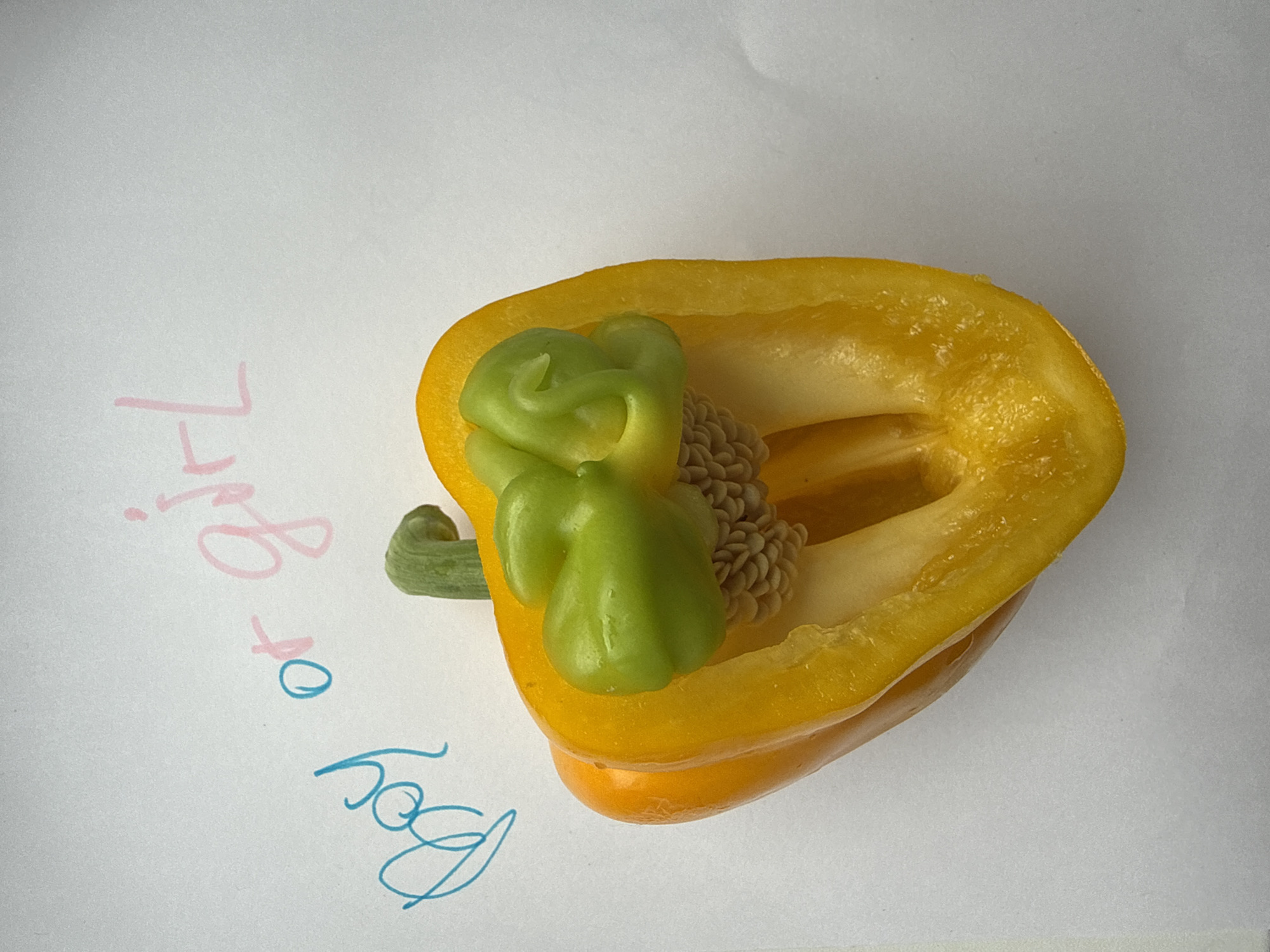 A halved yellow bell pepper sits on a white surface. The pepper is cut lengthwise, revealing its interior with seeds and a smaller green pepper protruding from the top. To the left of the pepper, the words "Boy or" are written in blue cursive. To the right of "Boy or," the word "girl" is written in pink cursive. The background is plain white. The scene is indoors, possibly a kitchen or studio, but no specific location within Izhevsk, Russia, can be determined from the image. There are no people or animals visible in the image.
