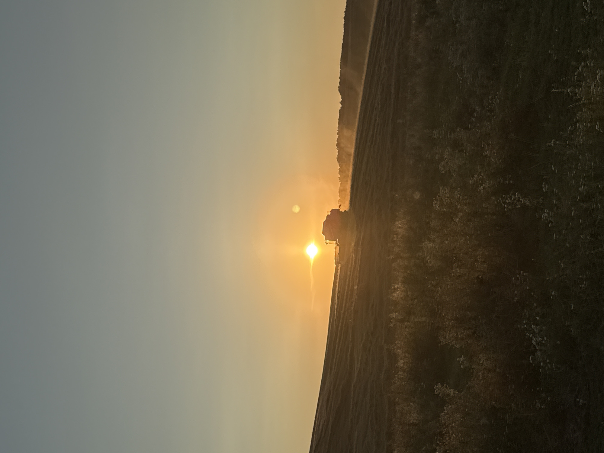 A combine harvester is operating in a field during sunrise. The sun is low in the sky, casting a warm glow over the scene. The sky is a gradient of soft blues and oranges, with a slight haze visible near the horizon. The field appears to be covered in cut grass or crops, and there is some dust or mist rising from the ground behind the combine. The foreground is filled with darker vegetation, possibly wildflowers and tall grasses, which are partially silhouetted against the brighter background. The overall atmosphere is tranquil and serene, evoking a sense of rural life and agricultural work at the start of a new day.