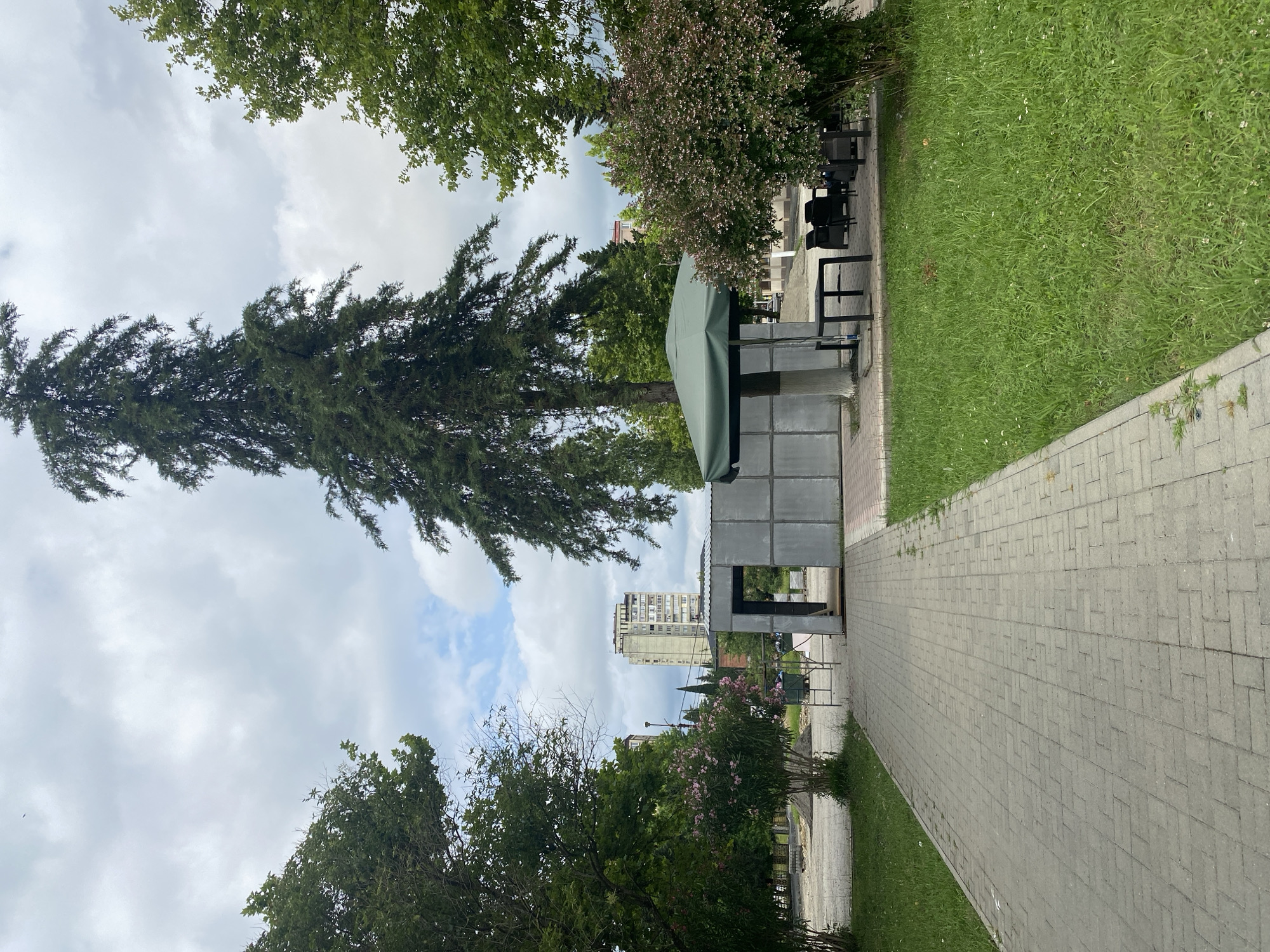 The image shows an outdoor scene with a paved walkway leading through a park-like setting. Tall trees, including a prominent evergreen, dominate the left side of the frame. A small, modern-looking structure with a green canopy and grey walls stands near the walkway, possibly a shelter or kiosk. To the right of the walkway, a neatly mowed lawn with scattered small white flowers is visible. In the background, a multi-story building with a light-colored facade and numerous windows can be seen. There are also some flowering bushes with pink blossoms adding color to the scene. The sky is cloudy, suggesting an overcast day. The lighting is diffused, indicating it is likely daytime. The overall atmosphere appears peaceful and serene, a typical urban park environment. There is no visible text in the image.
