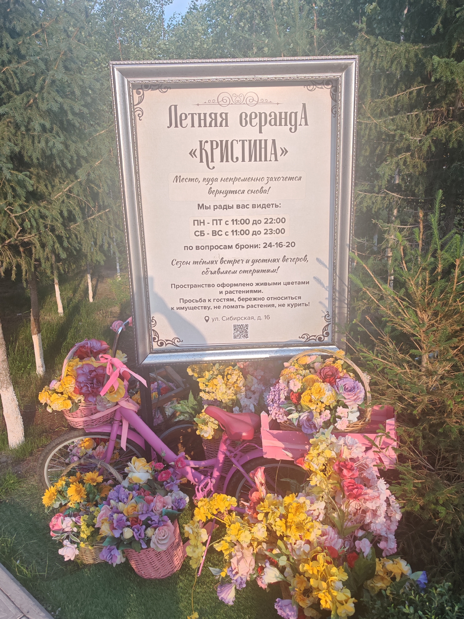 This media file captures an outdoor scene on a sunny day, likely in Novy Urengoy, Russia, as suggested by the text on the sign. The central focus is a decorative display featuring a pink bicycle adorned with numerous colorful floral arrangements. The bicycle itself is a vibrant pink, with baskets on the handlebars and rear, both overflowing with an abundance of artificial flowers in shades of yellow, pink, purple, and white. More flowers are piled around the base of the bicycle, creating a festive and inviting atmosphere.
Behind the bicycle, a large, ornate silver-framed sign stands prominently. The sign bears text in Russian, announcing "Летняя веранда «КРИСТИНА»" which translates to "Summer Veranda 'Kristina'". It provides operating hours: Monday to Friday from 11:00 to 22:00 and Saturday to Sunday from 11:00 to 23:00, with a contact number for reservations. The text also states that the space is decorated with live flowers and plants and politely requests guests to be careful with the property, avoid damaging plants, and refrain from smoking. The location is identified as "ул. Сибирская, д. 16" (Sibirskaya Street, building 16).
The background consists of lush green trees, possibly coniferous, and a hint of a grassy area, suggesting a park or garden setting. The sunlight casts shadows, indicating it is daytime. The overall impression is one of a cheerful and welcoming outdoor venue, possibly a cafe or restaurant, that has been elaborately decorated for a seasonal opening. There are no people visible in the frame.
