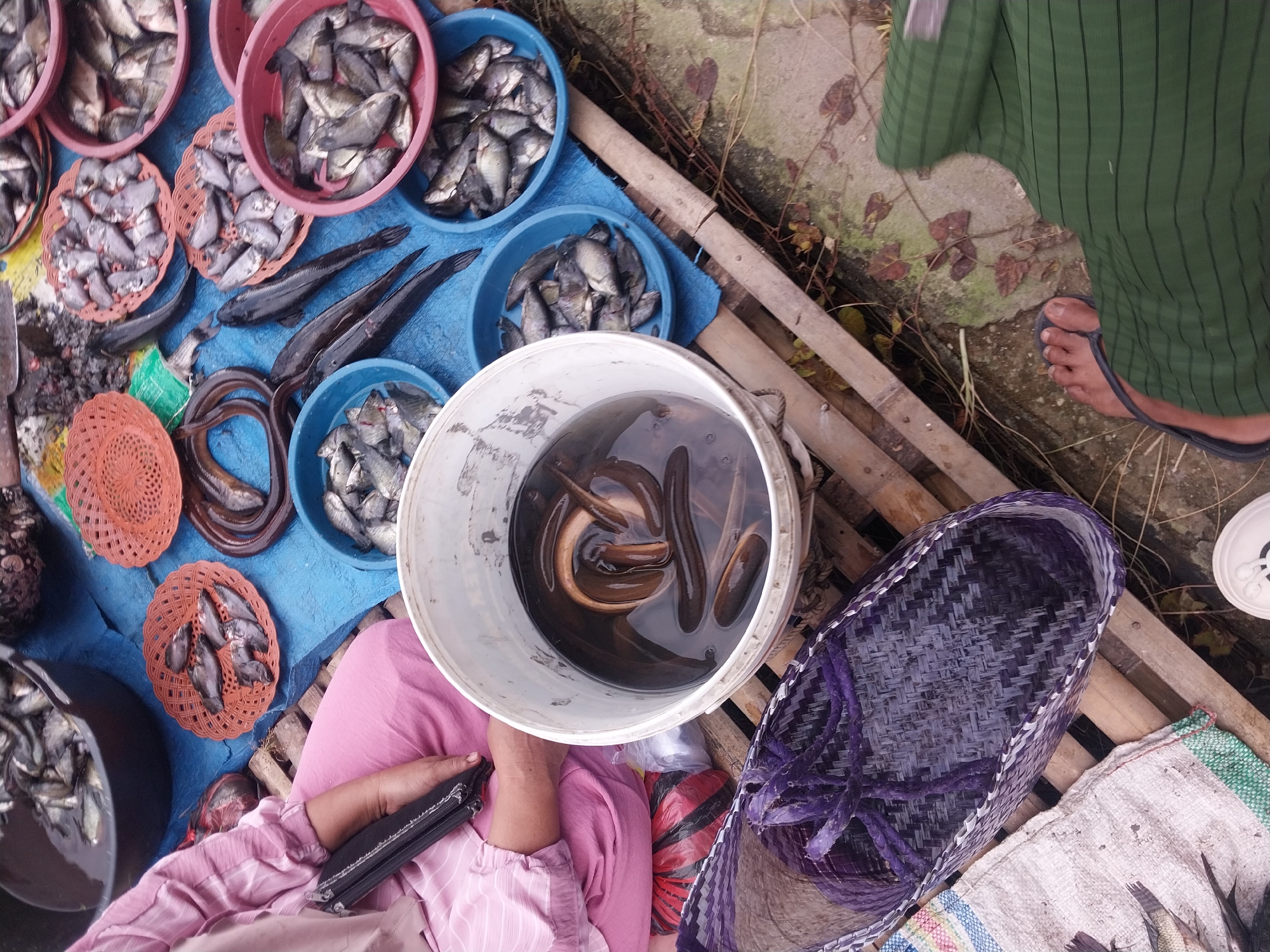 This is a top-down, high-angle, full-shot photograph taken at an outdoor market in Turumame, Indonesia. The scene depicts a stall selling various types of fish and eels. In the foreground, a large white bucket contains several eels submerged in water. To the left of the bucket, a person wearing a pink top and pants is seated, holding a black clutch bag. Beside the bucket and the person is a purple woven basket. In the background, multiple shallow bowls and baskets are filled with different types of fish, arranged on a blue tarp. Some fish are whole, while others appear to be cut. The ground beneath the stall is composed of wooden planks and a concrete surface with some dry leaves. The overall impression is a bustling market environment with fresh seafood for sale.