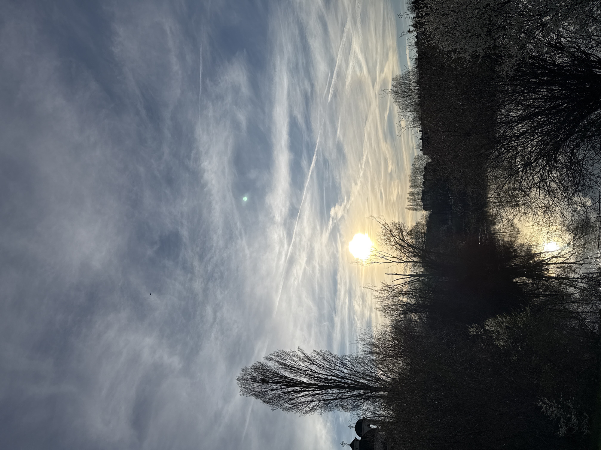 The image depicts a winter landscape in Sofia, Bulgaria. The sky is dominated by cirrus clouds and numerous contrails, intersecting each other. The sun is visible, partially obscured by bare tree branches. Silhouetted trees and bushes occupy the foreground and middle ground. The tops of a building with Orthodox crosses are visible in the lower left corner. A dark object, potentially a bird, is visible in the cloudy sky. The image is shot from a low angle, looking up towards the sky.