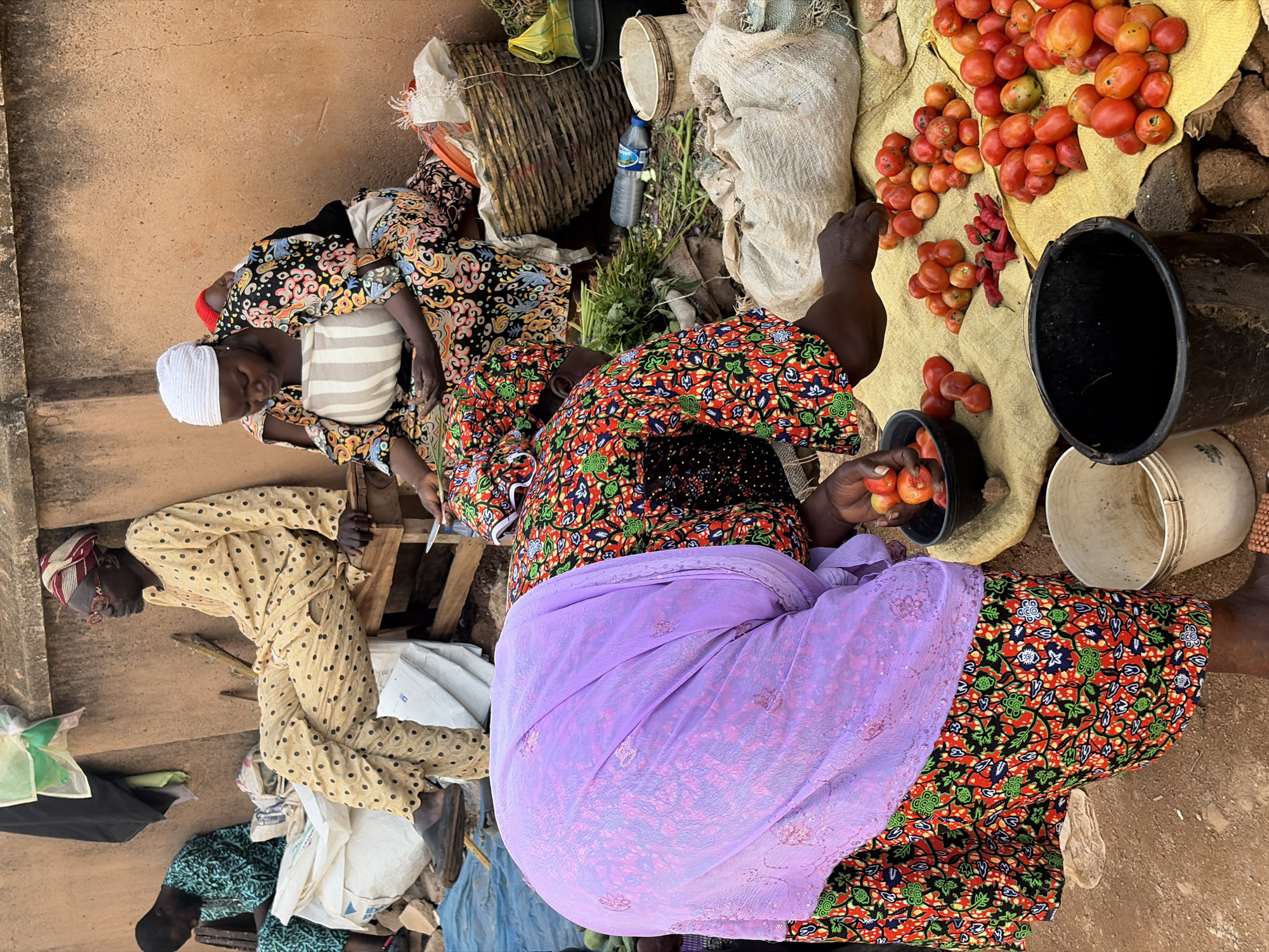 In Jos, Nigeria, a group of individuals are gathered at a bustling market stall. In the foreground, a woman wearing a vibrant, floral-patterned dress and a light purple headscarf is bent over, sorting through a pile of red tomatoes and small red chilies on a yellow mat. She holds a few tomatoes in her left hand and a black bowl of tomatoes and chilies is to her left. To her right, a large black bucket and a white plastic bucket are visible.
Further back, another woman, also in a colorful, patterned dress and white headscarf, is seated. She has a baby strapped to her back. To her left, a man in a light yellow, polka-dotted outfit and a striped headscarf sits on a wooden bench, wearing glasses. Behind him, a person in a green patterned garment is seated. The background consists of a textured, tan wall and various market goods, including baskets and sacks. The ground is a mix of dirt and small stones. The scene depicts a lively outdoor market environment.