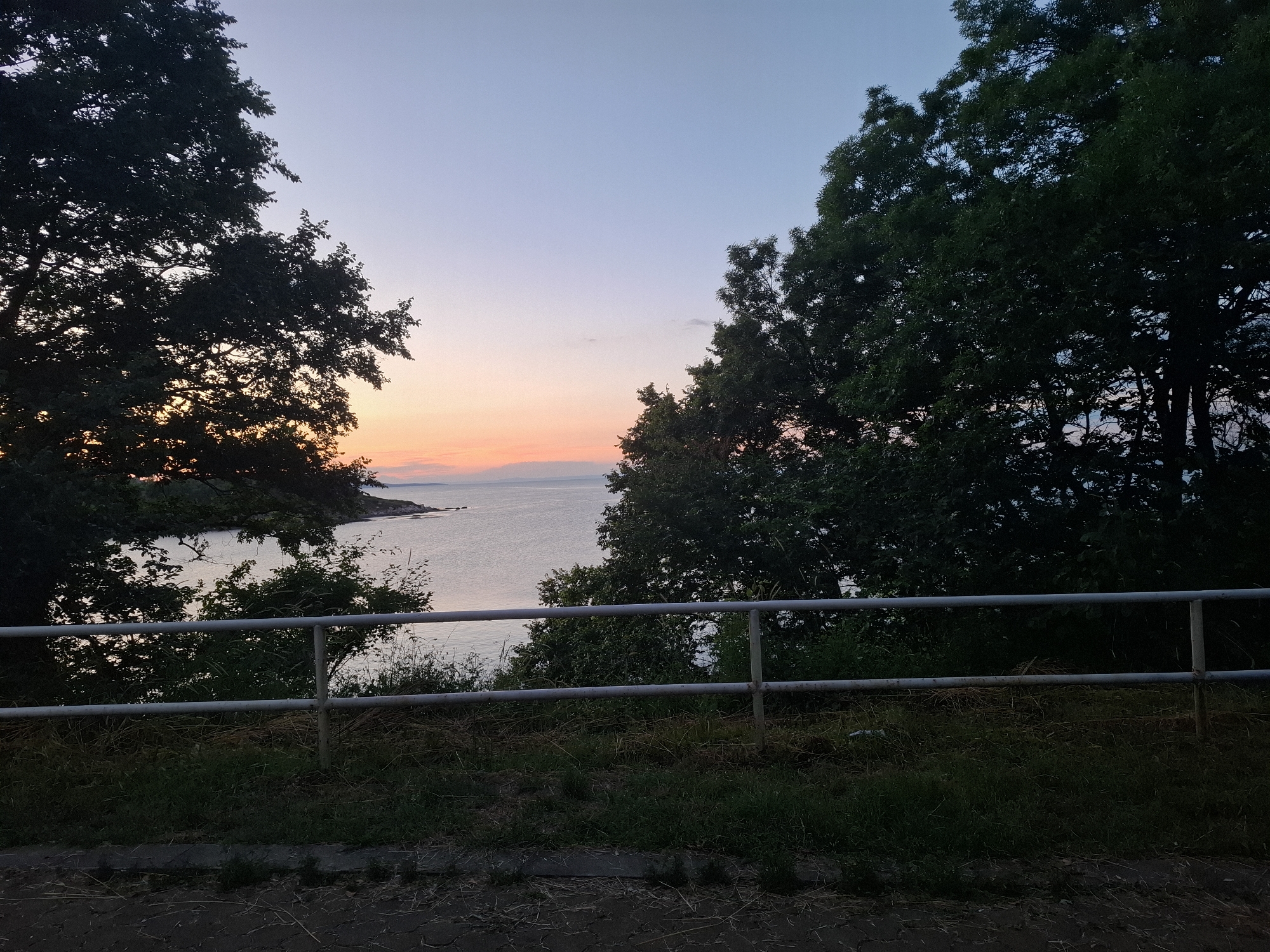 The image captures a scenic view of the Black Sea from a vantage point overlooking the water. In the foreground, a metal railing runs horizontally across the frame, separating a grassy embankment from the sea beyond. The embankment is covered in dry grass and some scattered debris. Two large, dark green trees frame the left and right sides of the scene, their branches reaching towards the sky.
The middle ground features the calm sea, reflecting the soft colors of the twilight sky. A distant landmass, possibly an island or the coastline, is visible on the horizon. The sky itself is a gradient of pale blue at the top, transitioning to warm hues of pink and orange near the horizon, indicating either sunrise or sunset. The overall atmosphere is tranquil and serene.
The location of this image is Tsarevo, Bulgaria, specifically a viewpoint offering a panoramic vista of the Black Sea.