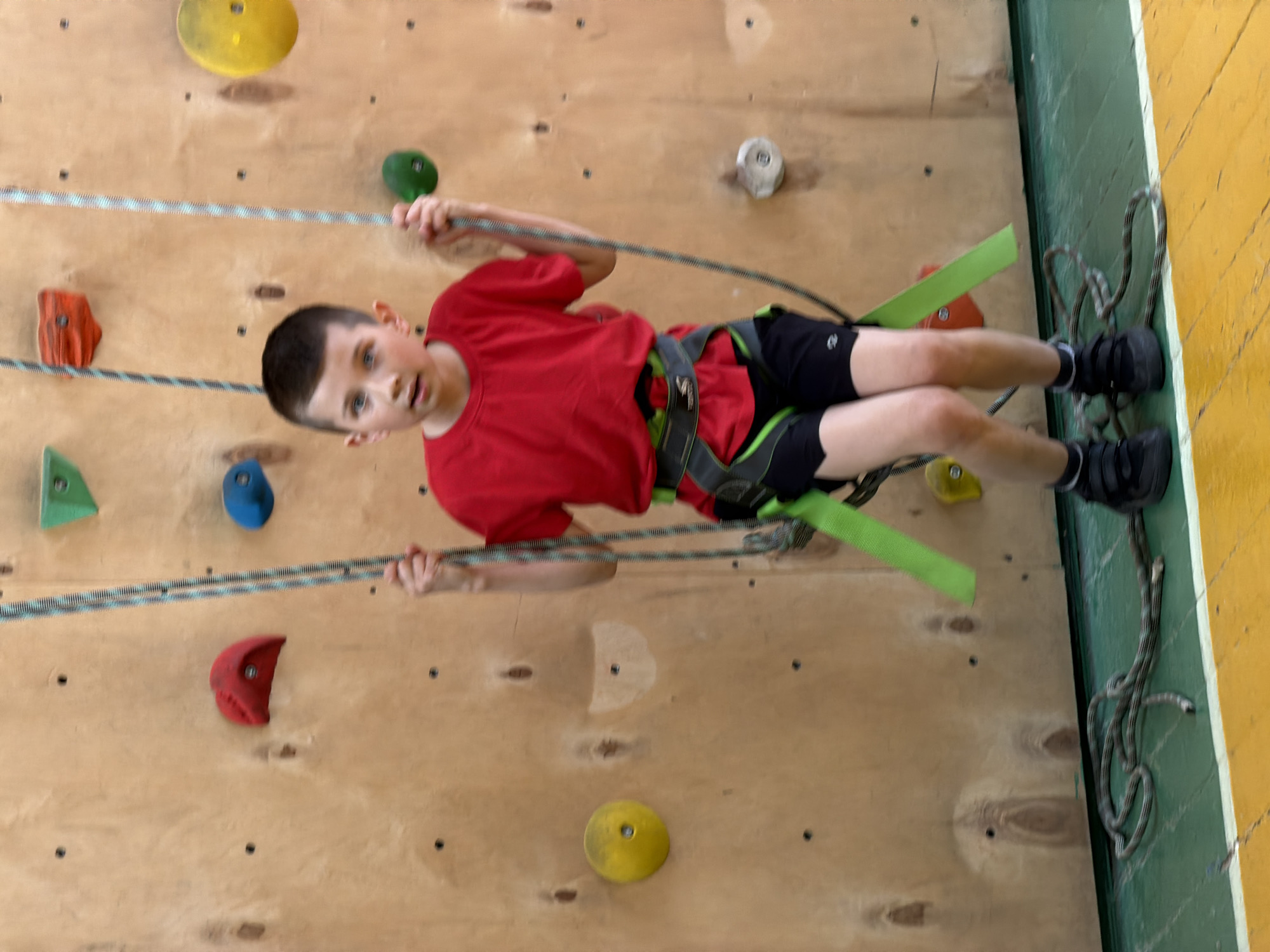 A young boy, outfitted with a climbing harness and ropes, is positioned against a wooden climbing wall. The wall has numerous colorful handholds. The boy is wearing a red t-shirt, black shorts, and black shoes. The background includes the climbing wall and adjacent green and yellow surfaces. There is no information suggesting a location in Izhevsk, Russia.