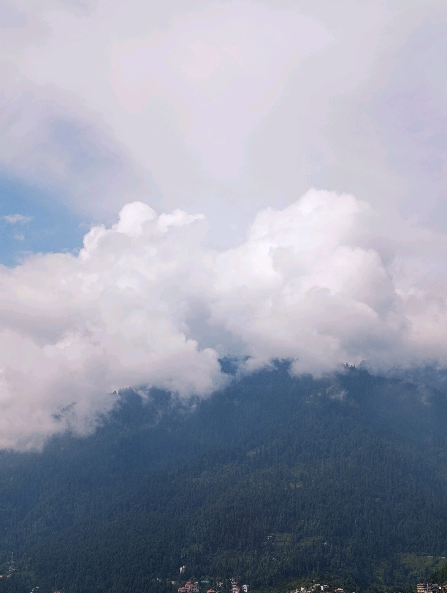 A dense, dark green forest covers the side of a mountain. A few scattered buildings are visible at the base of the mountain. Large, fluffy white clouds are positioned in front of a light blue sky, obscuring the upper portions of the mountain and creating a dramatic, hazy effect. The overall impression is one of a misty, mountainous landscape.