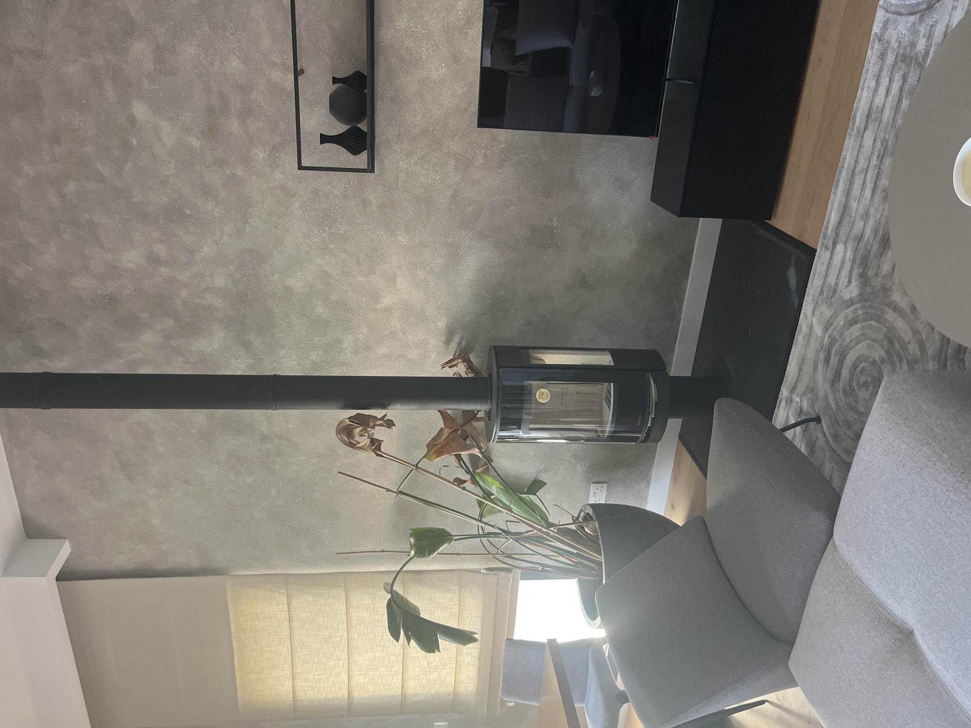 In a modern living room in Agios Athanasios Municipality, Cyprus, a sleek black wood-burning stove stands as a focal point against a textured grey wall. To the left, a large potted plant with broad green leaves and some dried brown foliage adds a touch of nature. A grey armchair and ottoman are positioned in the foreground on a patterned rug. To the right, a black entertainment unit supports a dark television screen. Above the television, a minimalist black shelf holds three decorative black vases. Natural light streams in from a window covered by a cream-colored Roman blind.