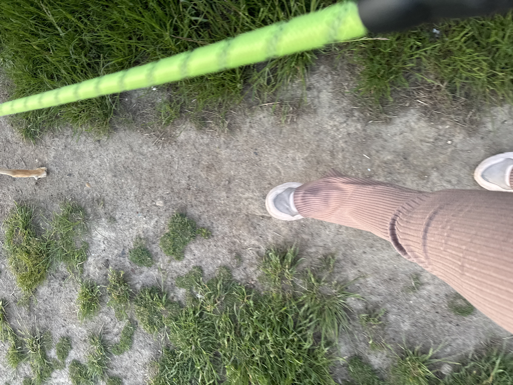 A top-down view of a person wearing light pink corduroy pants and light gray sneakers walking on a dirt and grass path in Minsk, Belarus. A long, bright green object with dark stripes lies on the path, near the top left.