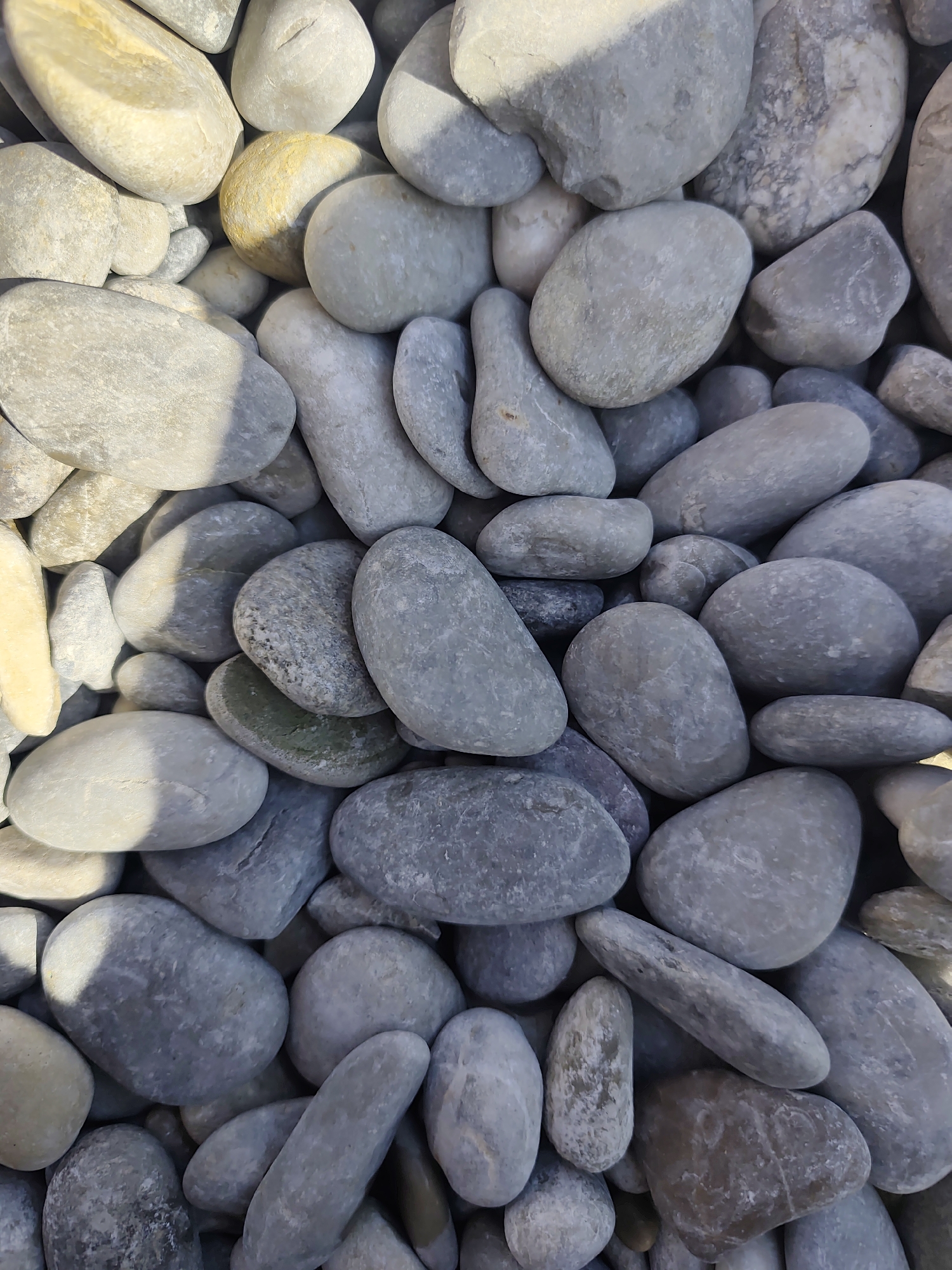 The image is a close-up, overhead view of a pile of smooth, rounded stones on a beach. The stones vary in size and color, ranging from light gray and off-white to some with yellowish hues. A few stones have dark gray speckling or veins. Shadows are cast across the stones, indicating sunlight from the side. The scene is devoid of any people or specific human activity. The texture of the stones is smooth and weathered. This collection of stones is consistent with a natural beach environment, such as those found along the coast of Nice, France, where the city meets the Mediterranean Sea.