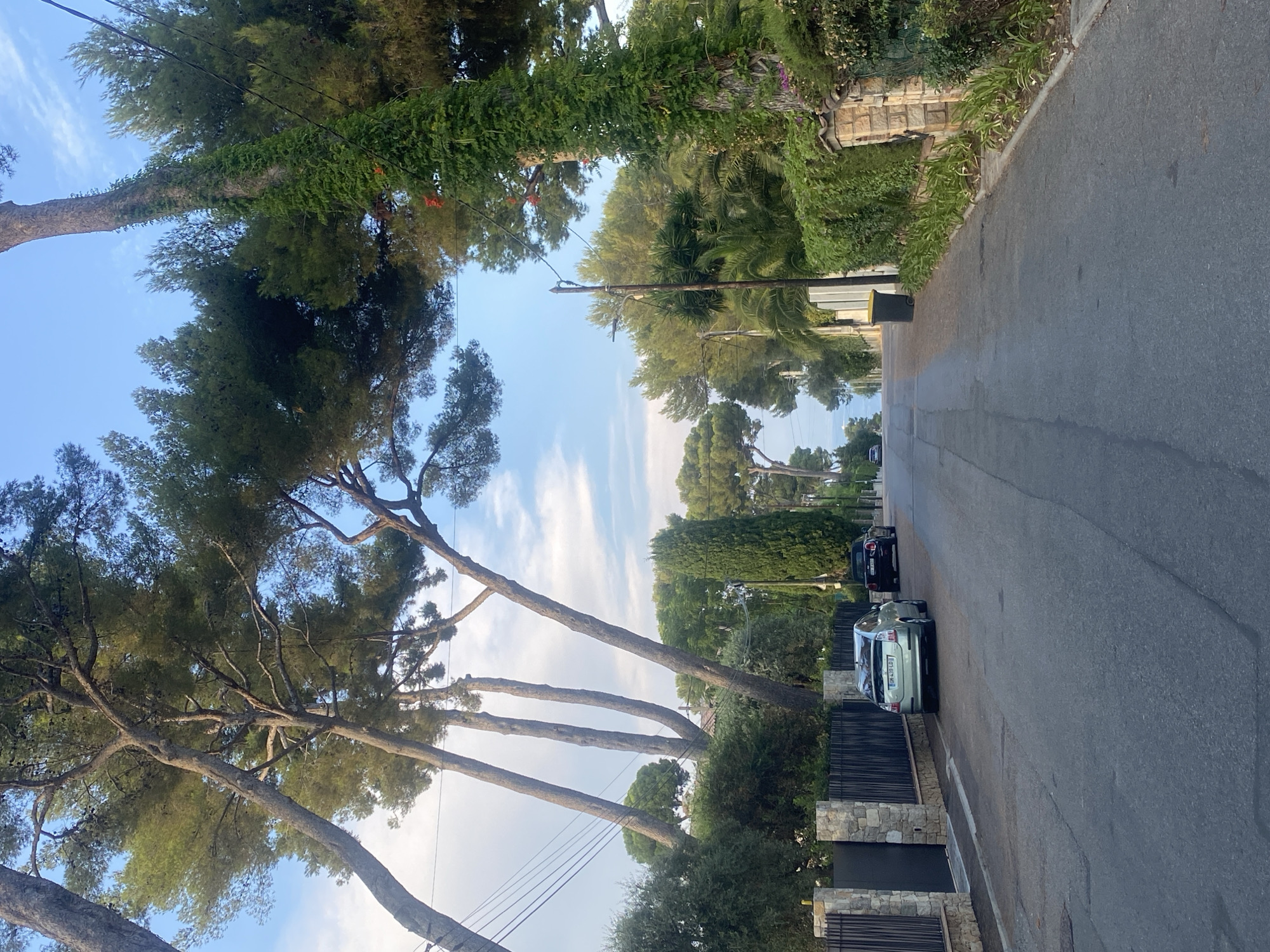 The image shows a residential street in Antibes, France, lined with tall pine trees and lush greenery. The road is paved and appears to be a slight incline leading towards a distant horizon where the sea is visible under a cloudy sky. On the left side of the street, there is a stone and metal fence with a large gate. Two cars are parked on the side of the road: a silver hybrid car in the foreground and a dark car further up the street. The right side of the street is bordered by a stone wall covered in climbing plants and more dense vegetation. A black trash bin with a yellow lid is situated near the wall. The overall impression is a quiet, scenic street typical of the Antibes area.