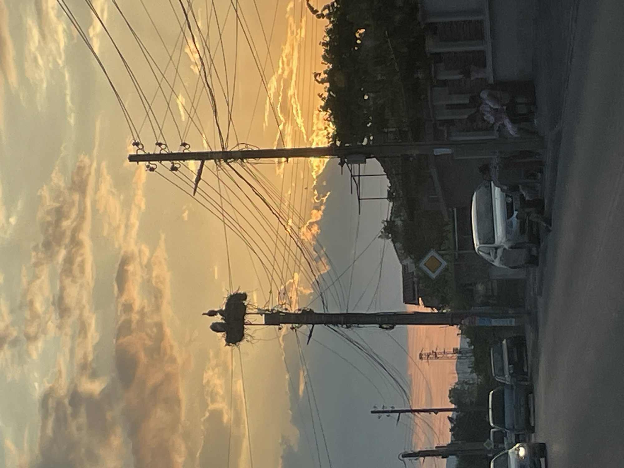 The image, taken in portrait orientation, captures a street scene at dusk. A prominent feature is a telephone pole adorned with a large nest, likely belonging to storks, as evidenced by the presence of two dark figures within it. The sky is awash with the warm hues of sunset, casting a golden glow on scattered clouds. Power lines crisscross the frame, silhouetted against the colorful sky and a distant, hazy landscape.
On the right side of the image, a street is visible, lined with parked cars. One van and several smaller vehicles are depicted. Adjacent to the street, buildings and lush green trees create a sense of urban or suburban life. A yellow diamond-shaped road sign is also noticeable, suggesting a traffic intersection. The overall atmosphere is serene, with the fading light creating a peaceful, end-of-day mood. There is no visible text in the image.