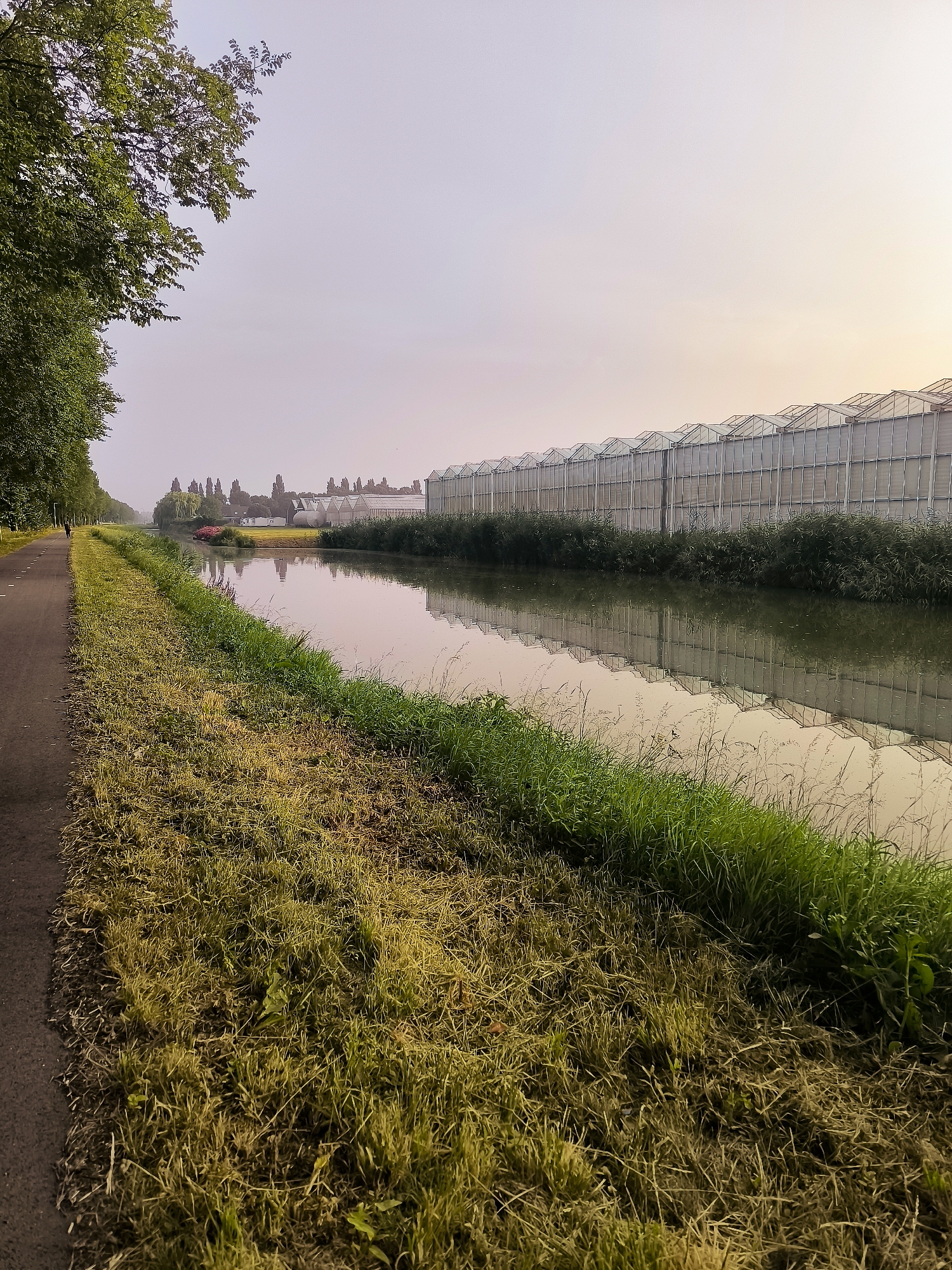 The image depicts a canal in Andijk, Netherlands, with a paved path alongside it. On the right side of the canal, a long row of greenhouses with glass roofs stretches into the distance. The sky above is pale and hazy, with a soft glow from the rising or setting sun. Trees line the left side of the path, casting shadows on the grassy embankment. The water in the canal is calm and reflects the greenhouses and the sky. In the background, a few buildings and trees are visible. There is a single person walking on the path in the distance. The scene appears to be set in the early morning or late evening, given the soft lighting.