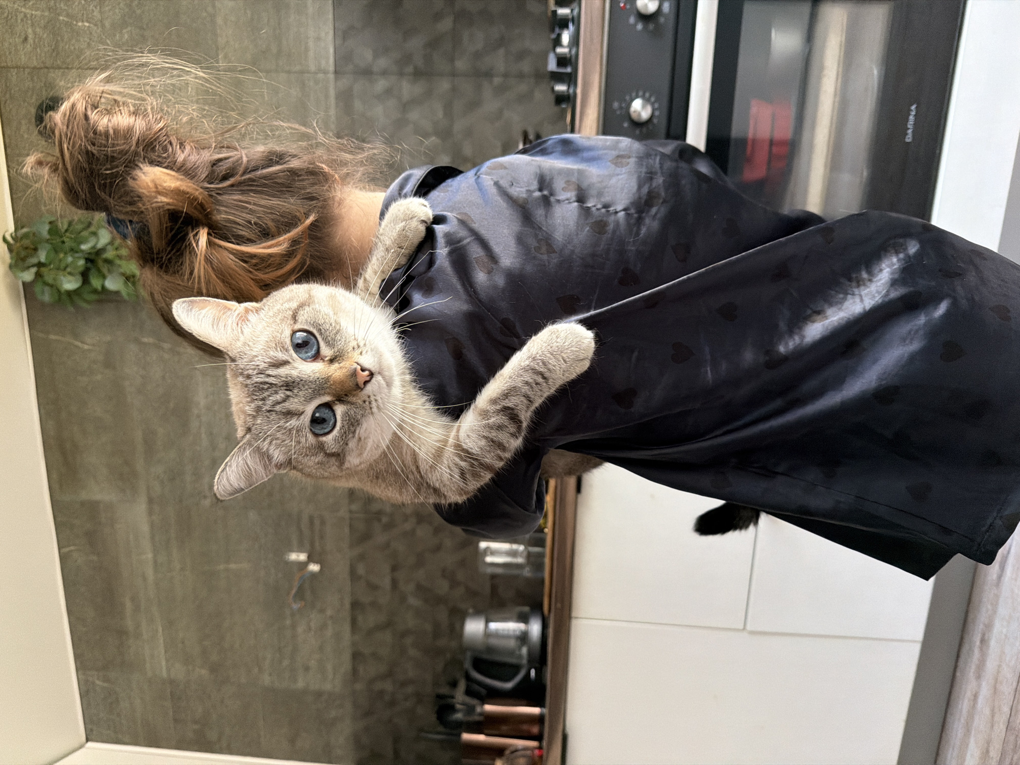 A person with their hair in a bun is holding a light brown tabby cat with blue eyes. The person is wearing a black satin robe with small black hearts printed on it. The cat is clinging to the robe with its paws. A small portion of the cat's tail is visible. The background includes a gray-tiled wall, a white countertop, a microwave oven, a small plant, and several small metal objects. The location is identified as Perm, Russia.