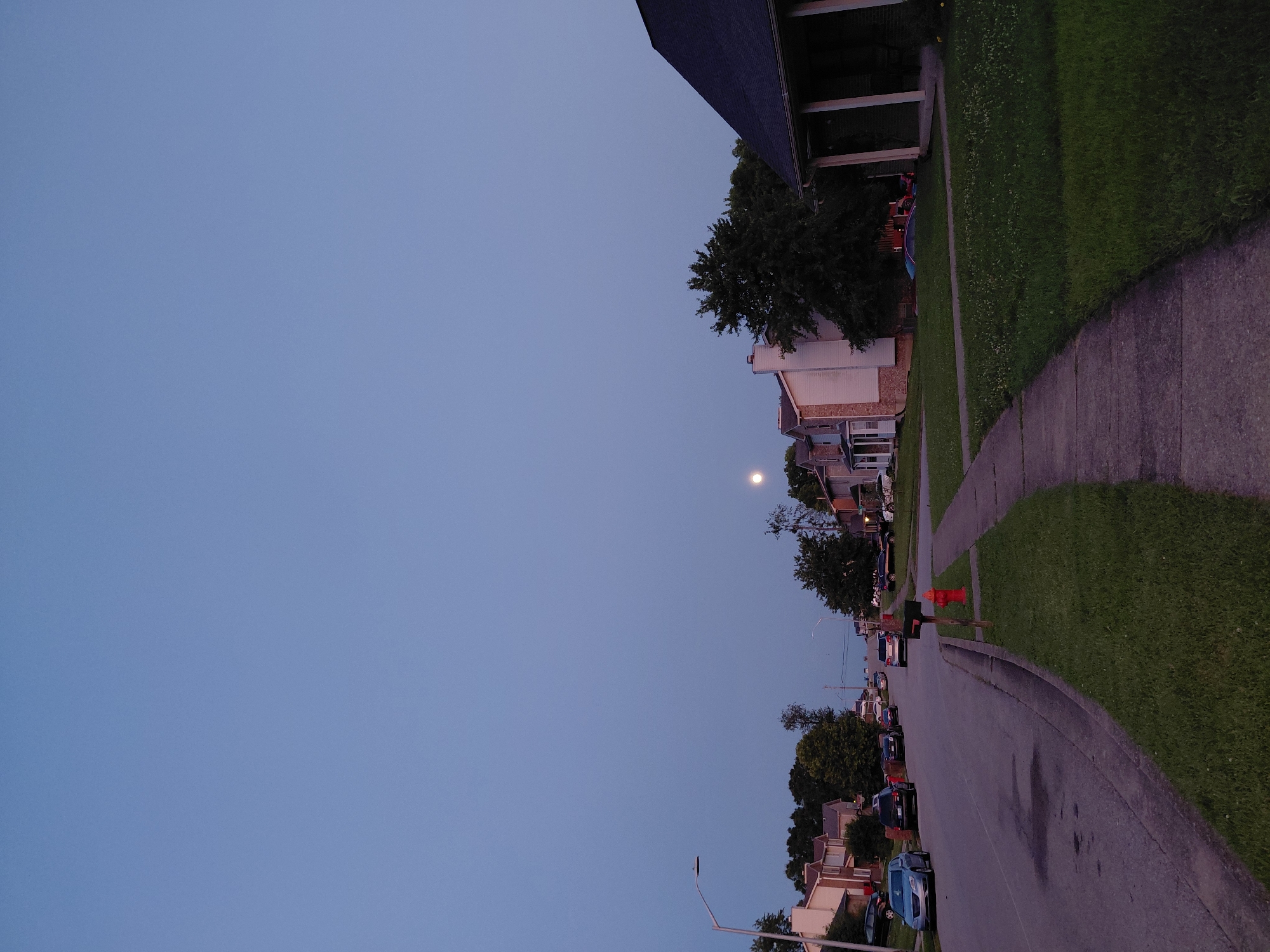 The image depicts a suburban street scene in Nicholasville, Kentucky, USA, during dusk. The sky is a clear, pale blue, with the moon visible in the upper right quadrant of the frame. A paved street runs horizontally across the lower half of the image, with a sidewalk to its right. Several parked cars are visible along the street, including a light blue sedan on the left and darker colored vehicles further down. Residential houses line both sides of the street, characterized by their pitched roofs and various architectural styles. Green lawns with scattered clover are present in front of the houses, and mature trees are scattered throughout the neighborhood, some casting shadows on the ground. A red mailbox and a fire hydrant are positioned near the sidewalk on the right side of the street. The overall atmosphere is quiet and serene, indicative of a residential neighborhood at the end of the day.