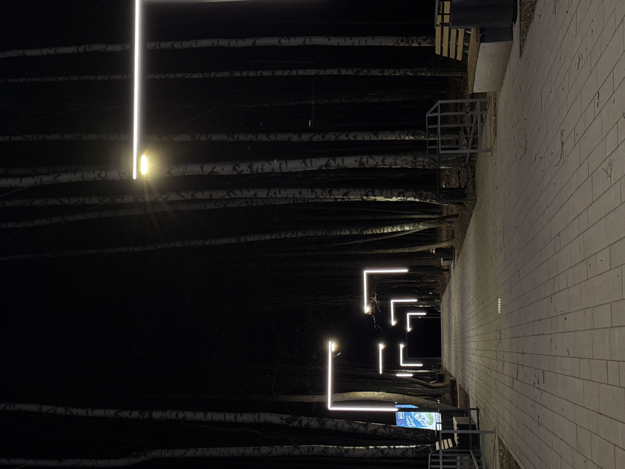 A nighttime scene in Chaikovsky, Russia, shows a pathway lined with birch trees illuminated by linear light fixtures and spherical streetlights. The path is paved with rectangular stones and is bordered by the trees on one side and a metal railing on the other. The scene is dark, with the light fixtures providing the primary source of illumination.