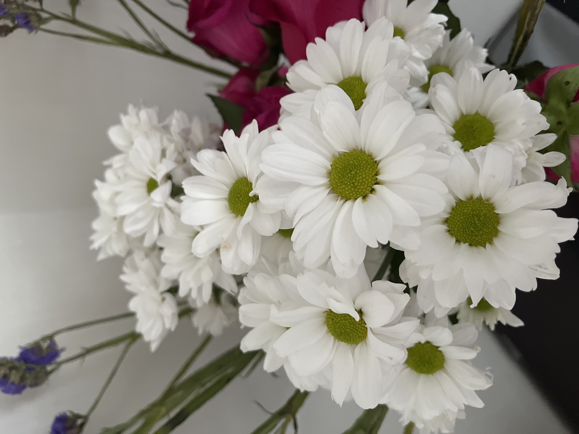 This is a close-up, eye-level, vertical shot of a bouquet of flowers. The bouquet is predominantly white daisies with bright green centers, interspersed with some small purple flowers and hints of pink or magenta roses in the background. The flowers are arranged in a dense cluster, filling most of the frame. The lighting is soft and even, suggesting an indoor setting. There are no people or animals visible in the image, and no specific location in the city of Ust'-Katav, Russia can be identified from the visual information provided. The background is a plain, light-colored wall, which is slightly out of focus.