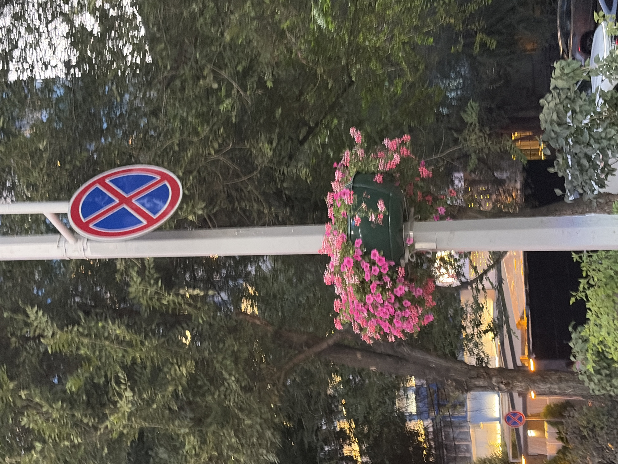 The image depicts a street scene in Almaty, Kazakhstan, likely in a residential or commercial area. A white pole stands prominently in the foreground, supporting a red and blue circular traffic sign indicating "No Stopping." Below the sign, a green planter box overflows with vibrant pink flowers. Lush green trees with dense foliage surround the pole and planter, suggesting a well-maintained urban environment. In the background, buildings with illuminated windows are visible, hinting at evening or nighttime. Several cars are parked or driving on the street, and the overall atmosphere suggests a typical urban landscape with a touch of floral decoration.