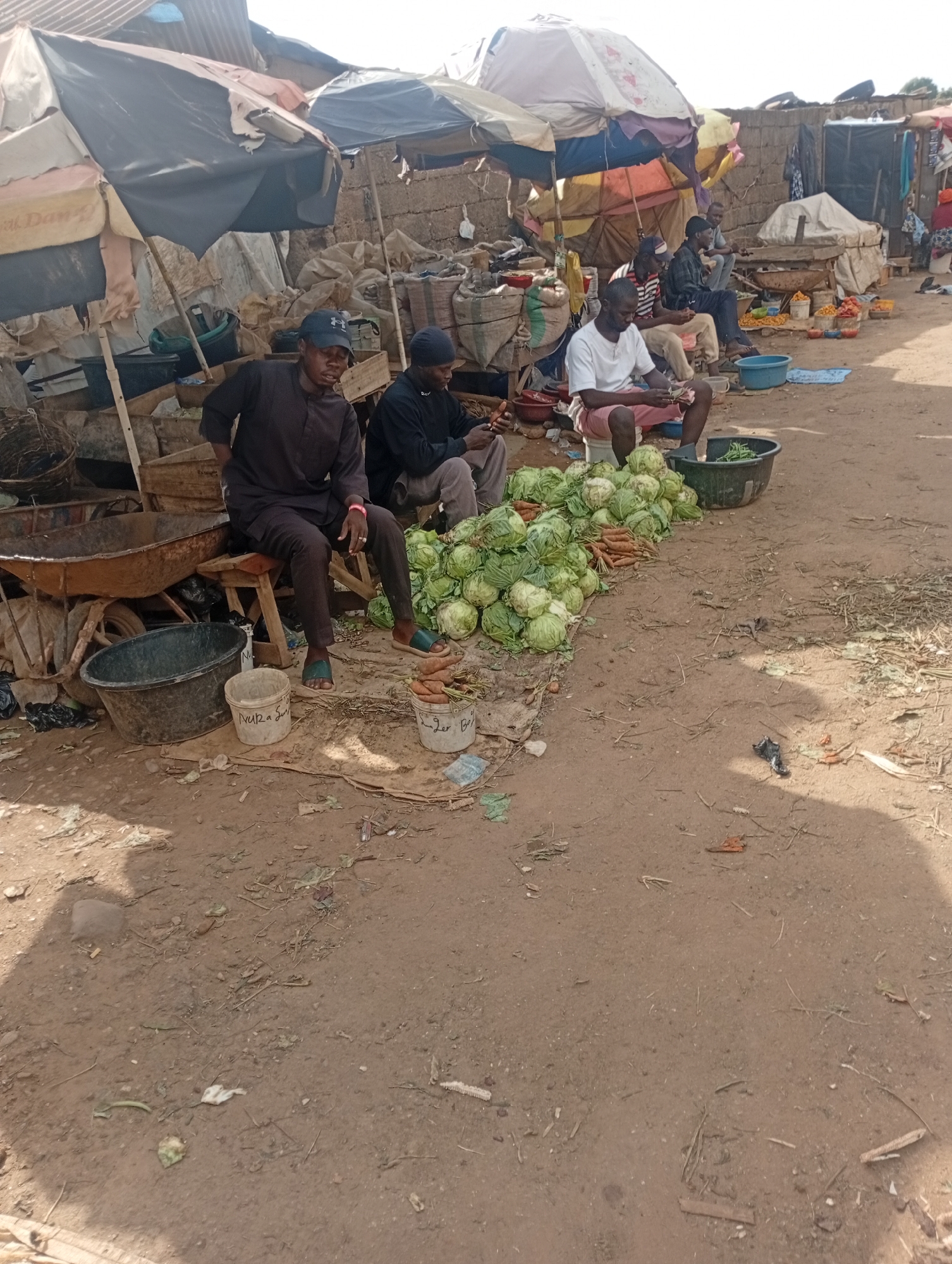 In Rafin Par, Nigeria, an outdoor market scene unfolds on a dirt ground. Four men are present. One man, wearing a dark brown traditional outfit and a black cap, sits on a wooden stool. Beside him, a man in a dark long-sleeved shirt and dark trousers is seated. In the foreground, another man in a white t-shirt and pink shorts is seated and appears to be sorting vegetables. Further in the background, a fourth man in a checkered shirt and dark trousers is seated. Piles of cabbages and carrots are displayed for sale. Market stalls are set up with umbrellas providing shade. A wheelbarrow and various buckets are also visible in the scene, suggesting commercial activity.