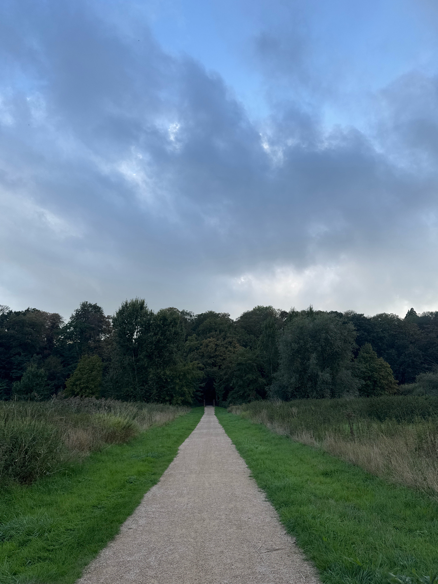 A gravel path leads through a grassy area with tall reeds and trees. The path is straight and appears to lead into a dark opening in the trees. The sky is overcast with blue peeking through the clouds. There are no people or animals visible in the image. The location is not identifiable from the image.