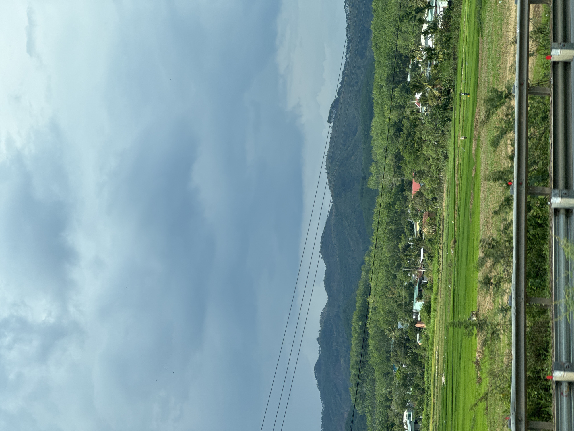 The image shows a view from a bridge or elevated road in Dak To, Vietnam, facing a mountain range. The foreground includes a metal guardrail of the structure from which the photo was taken. Beyond the guardrail, a rice paddy extends towards a dense tree line at the base of the mountains. Buildings are interspersed among the trees. High-tension power lines run across the scene. The sky is overcast. The rice paddy shows signs of being cultivated, with distinct rows of crops. Several individuals are visible in the field.
