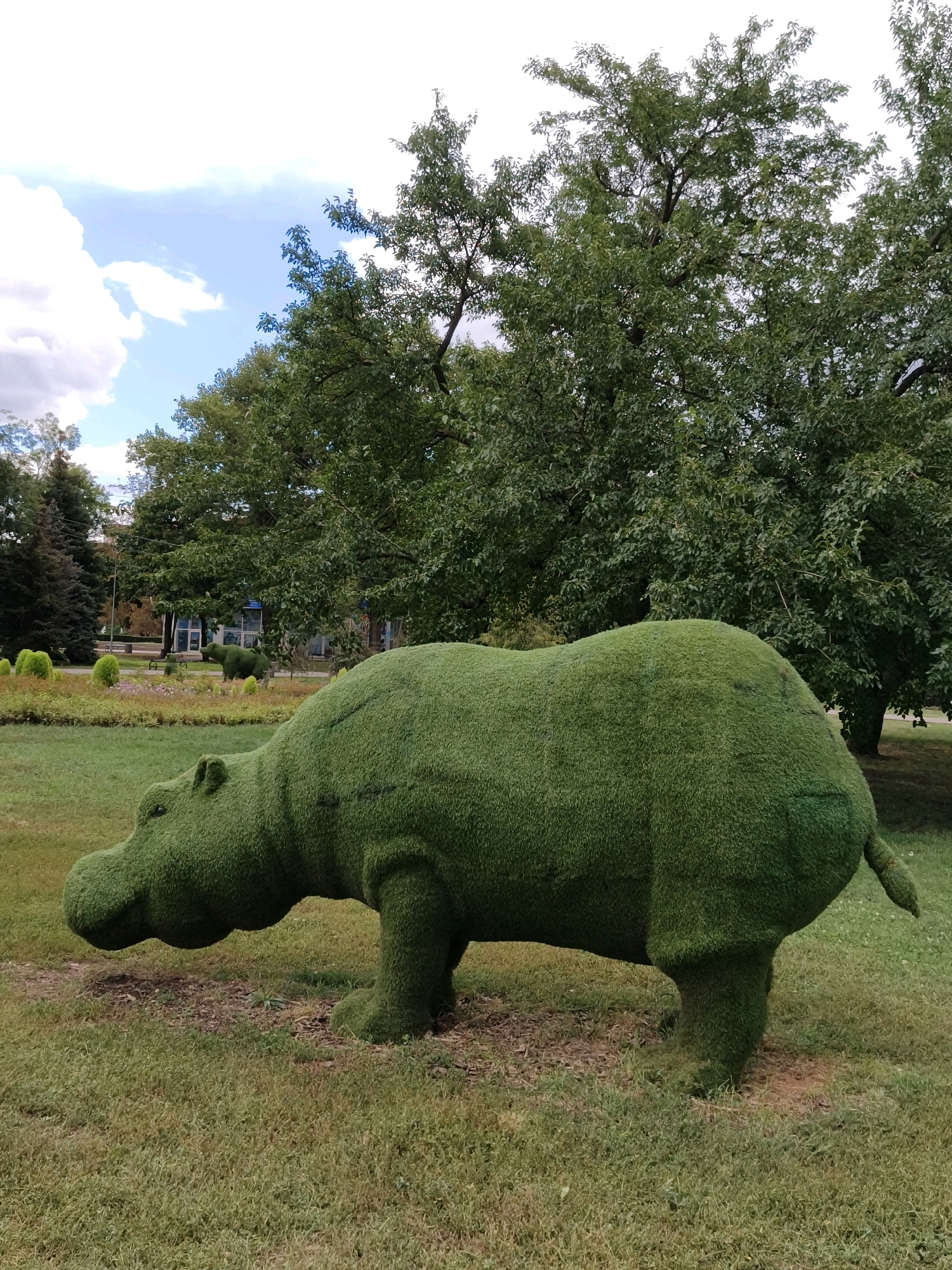 A topiary sculpture of a hippopotamus stands on a grassy lawn in a park setting in Kryvyi Rih, Ukraine. The sculpture is made of bright green artificial turf, meticulously shaped to resemble the animal. The hippo is positioned in profile, facing left, with its mouth slightly open. Behind the sculpture, a large, mature tree with dense green foliage dominates the background, its branches reaching towards a partly cloudy sky. In the distance, there are hints of buildings and more trees, suggesting an urban park environment. The foreground is a mix of green grass and patches of dry earth and fallen leaves. The lighting suggests it is daytime, possibly late morning or afternoon, with diffused sunlight. There are no people or animals visible in the image.