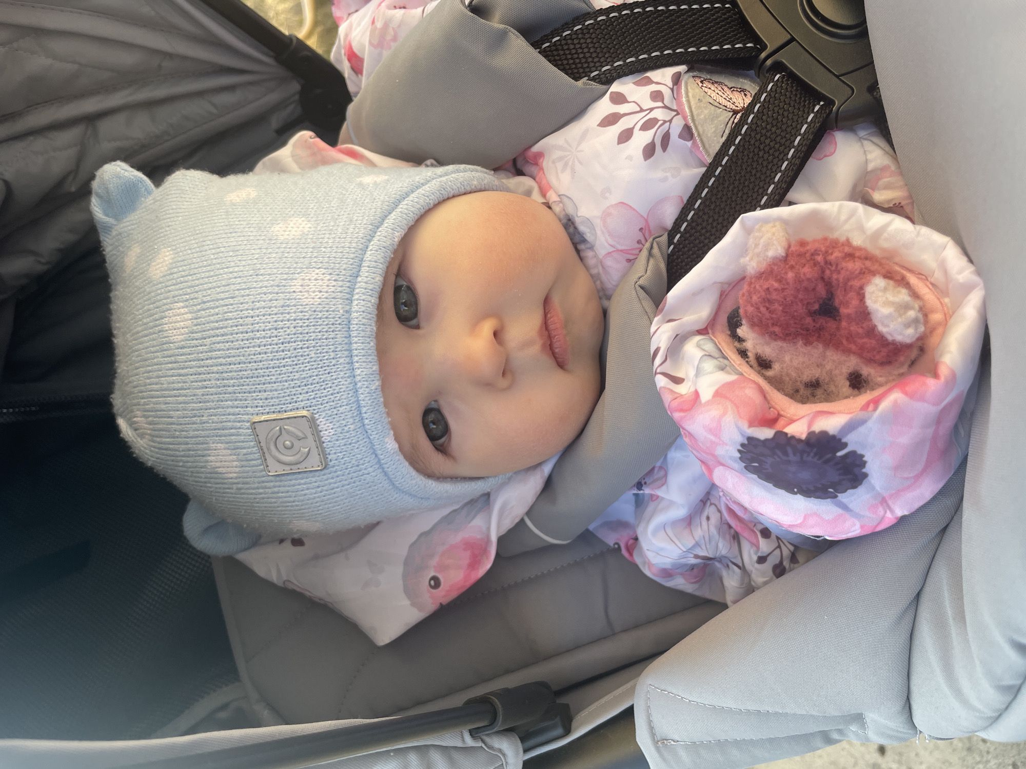 A baby wearing a blue hat is lying in a stroller. The baby is wearing a floral patterned outfit and the stroller has grey fabric. A stuffed animal is also in the stroller. The location is likely not in Chaikovsky, Russia as the image does not contain any identifiable features or objects unique to that city.