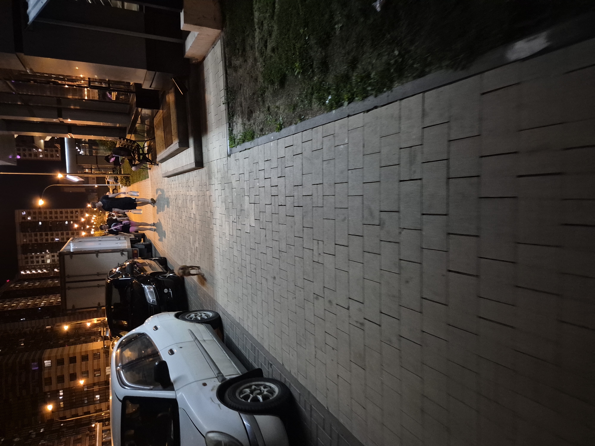 A dog walks on a paved sidewalk in front of parked cars at night. In the background, buildings and streetlights illuminate the urban environment. A few people are visible walking on the sidewalk and one person is sitting on a bench. The scene appears to be in a residential area of Voronezh, Russia.
