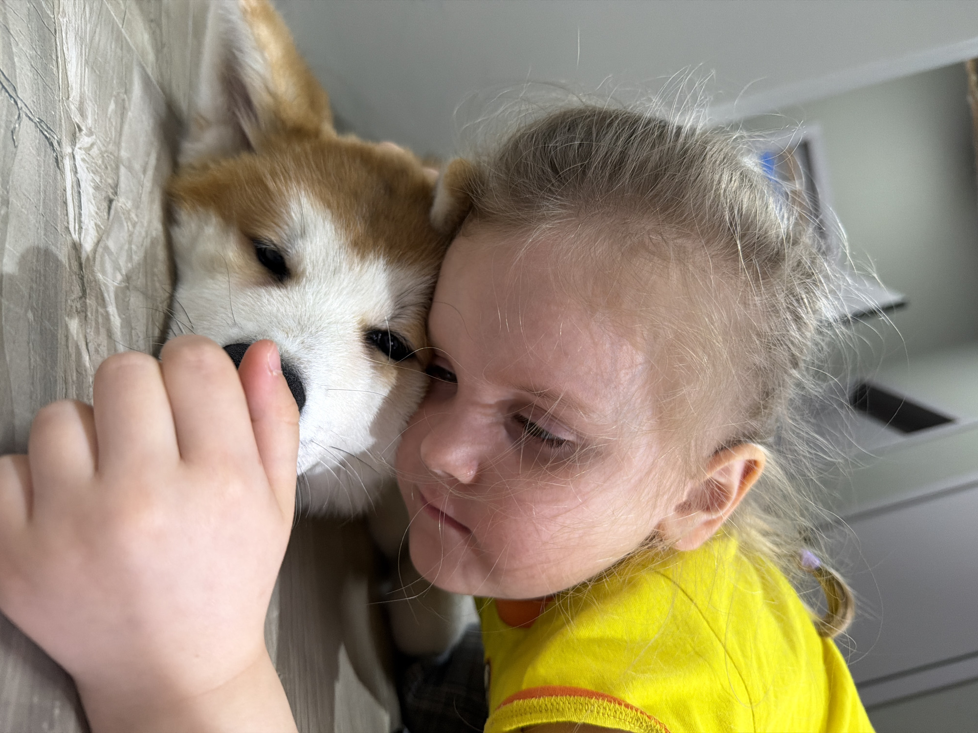 A young girl with light hair and a yellow shirt rests her head against a Shiba Inu puppy. The girl's hand is on the puppy's face. The background appears to be a simple, indoor setting with a textured wall or surface. There is no information available that definitively indicates this image was taken in Chaikovsky, Russia.