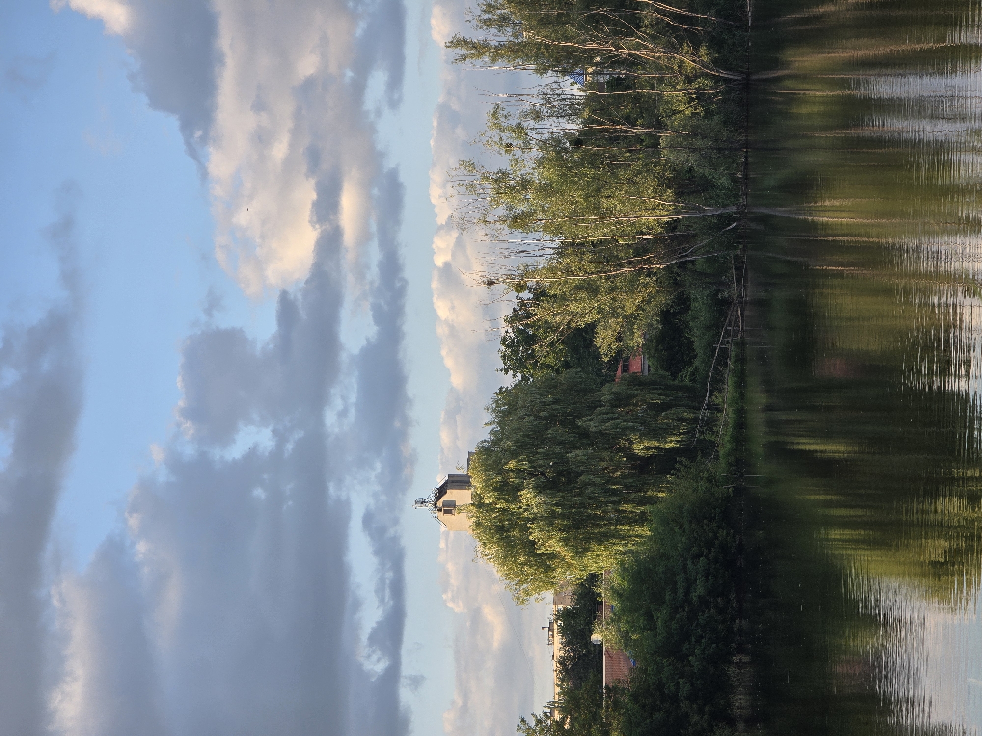 A view of a tranquil body of water in Sofiivska Borshchahivka, Ukraine, reflecting the surrounding lush green trees and a cloudy blue sky. In the background, a distinctive multi-story building with a peaked roof, possibly an industrial structure or observation tower, stands out against the horizon. The foreground is dominated by the still surface of the water, disturbed only by gentle ripples. Along the water's edge, a dense line of trees, including a large weeping willow, provides a natural barrier. The scene is bathed in soft, natural light, suggesting either early morning or late afternoon. No people or animals are visible in the frame.