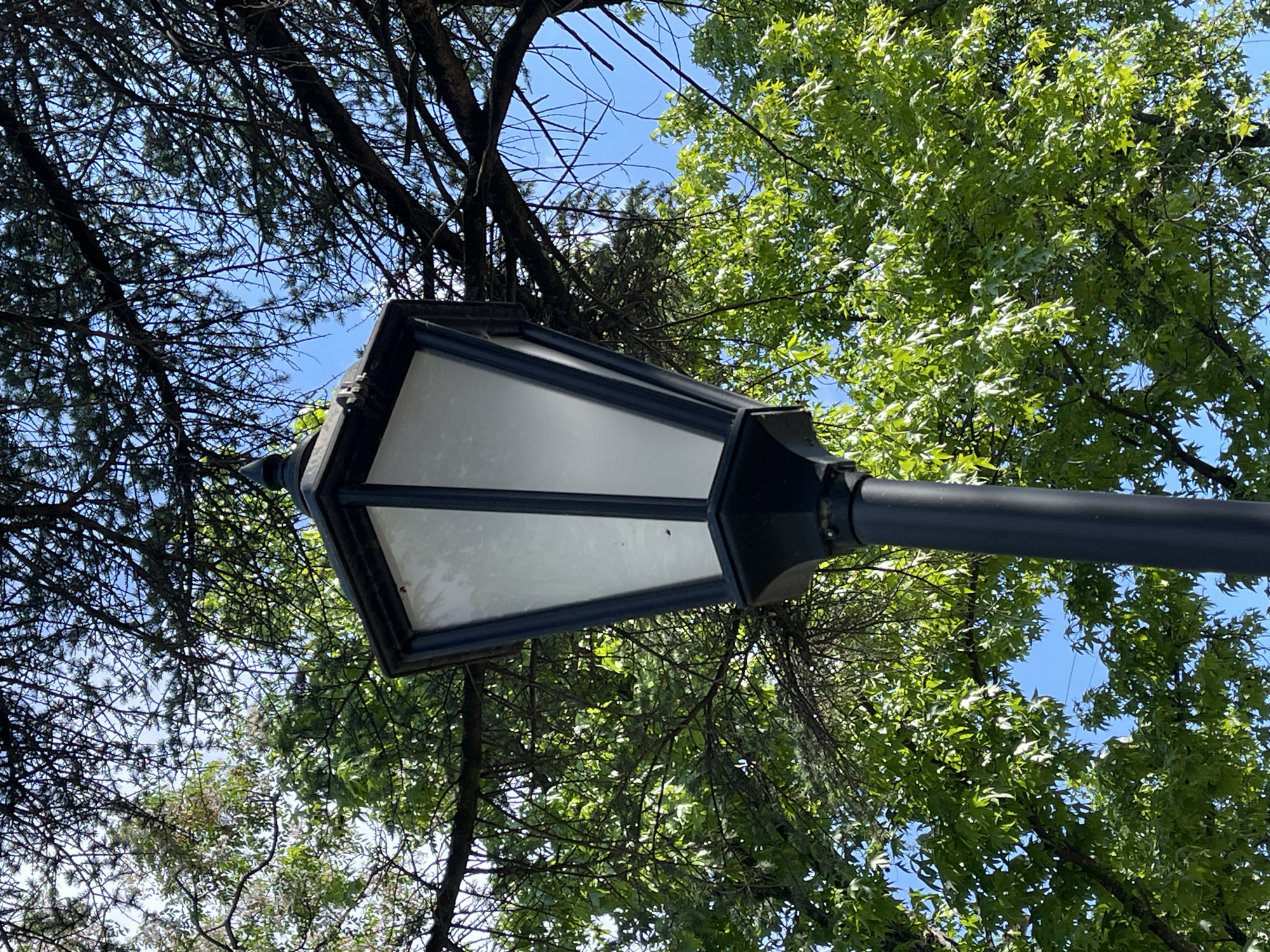 A black lamppost stands in the foreground, angled slightly to the right. The lamppost has a pointed finial at its apex and a hexagonal, frosted glass lantern. The lantern is surrounded by a dark frame. Behind the lamppost, lush green foliage fills the majority of the frame, with bright blue sky visible through gaps in the leaves and branches. The leaves appear to be from deciduous trees, with some branches of a coniferous tree also visible. The scene is outdoors, likely in a park or garden, with the sunlight casting dappled shadows through the trees. There are no people or animals visible in the image.
