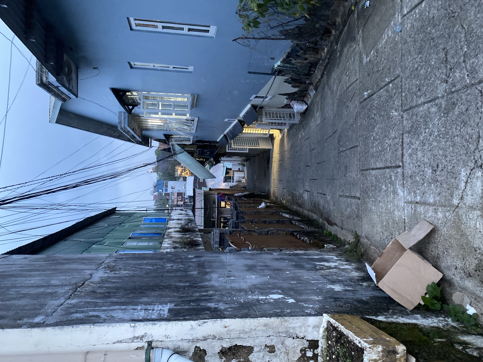 The image captures an alleyway in Lâm Viên - Đà Lạt, Vietnam. The alley is paved with concrete and runs between buildings of varying heights and construction styles. On the right side of the alley, there's a light gray wall with a cardboard box resting against it. Green plants are growing around the box. The left side features a building with a corrugated metal roof. Electrical wires are suspended overhead, creating a dense network of lines against the sky. Further down the alley, the buildings become more densely packed, and there are signs of commercial activity with awnings and lights. In the distance, the alley opens up, revealing more buildings. The image is taken from a slightly elevated position.