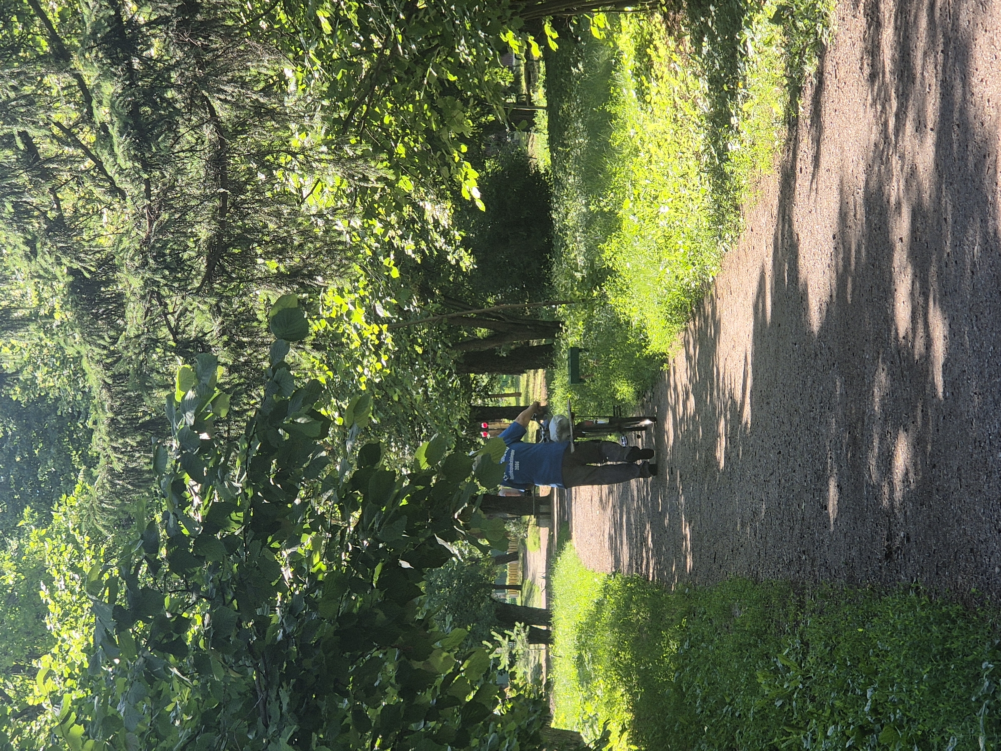 In Sozonivka, Ukraine, on a sun-dappled, gravel path winding through a park, a man walks away from the camera. He is wearing a blue t-shirt with text, dark pants, and dark shoes. He is pushing a bicycle with a basket on the front. The path is bordered by lush green grass and foliage. Tall trees, including evergreens with drooping branches, cast shadows across the path. The overall scene depicts a tranquil, outdoor setting on a bright day.