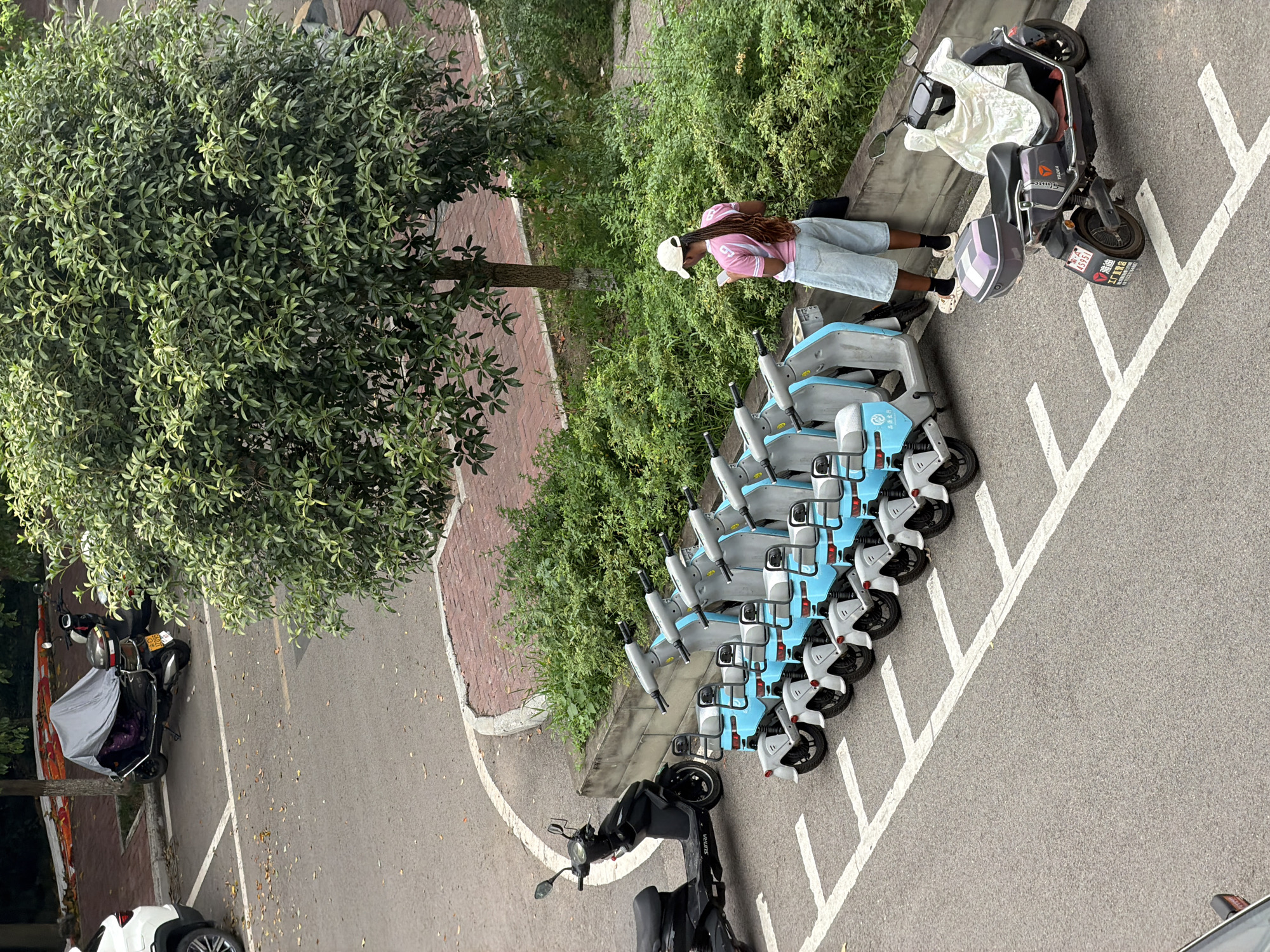 In Jiangjin, China, an overhead shot captures a row of parked electric scooters, mostly light blue and gray, lined up in designated parking spaces. A black electric scooter is parked separately to the left of the row. A person wearing a pink shirt, denim shorts, a white cap, and beige clogs stands next to the scooters, looking at their phone. A dark-colored electric scooter is parked in the foreground to the right, partially covered with a light-colored sheet, and a purple and gray storage box is attached to its rear. The scene unfolds on a paved surface with white parking lines. Green bushes and trees are visible in the background, along with a brick pathway and a glimpse of a white SUV.
