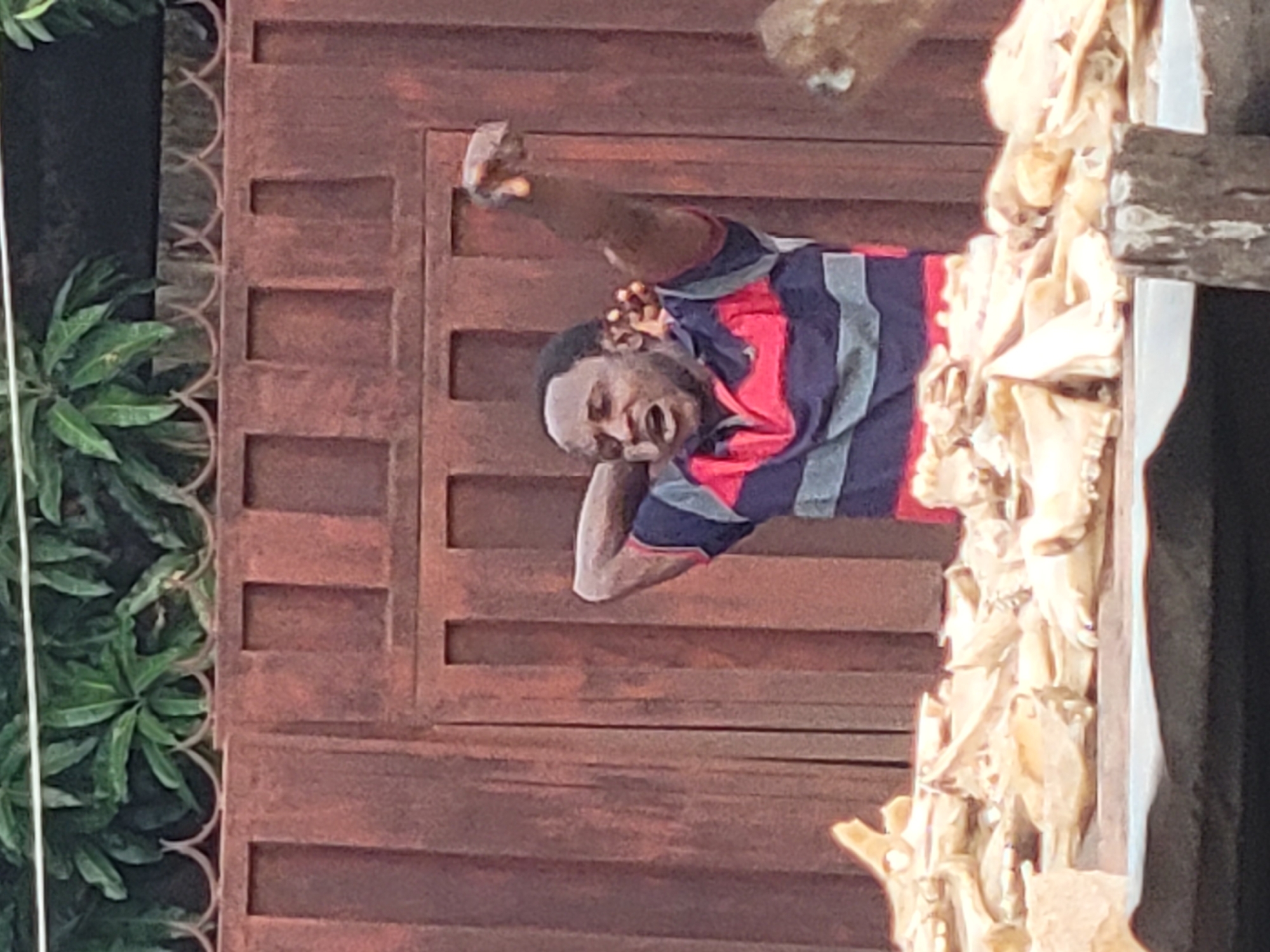 A Black male, wearing a red, navy, and gray striped shirt, stands in front of a rustic wooden fence. His mouth is open, and he appears to be shouting or singing. His right arm is raised, with his hand near his head. In the foreground, a pile of animal bones, possibly from a butcher or market stall, is visible on a table or surface. The background features lush green foliage peeking over the fence. The scene appears to be set in an outdoor market environment in Jos, Nigeria.