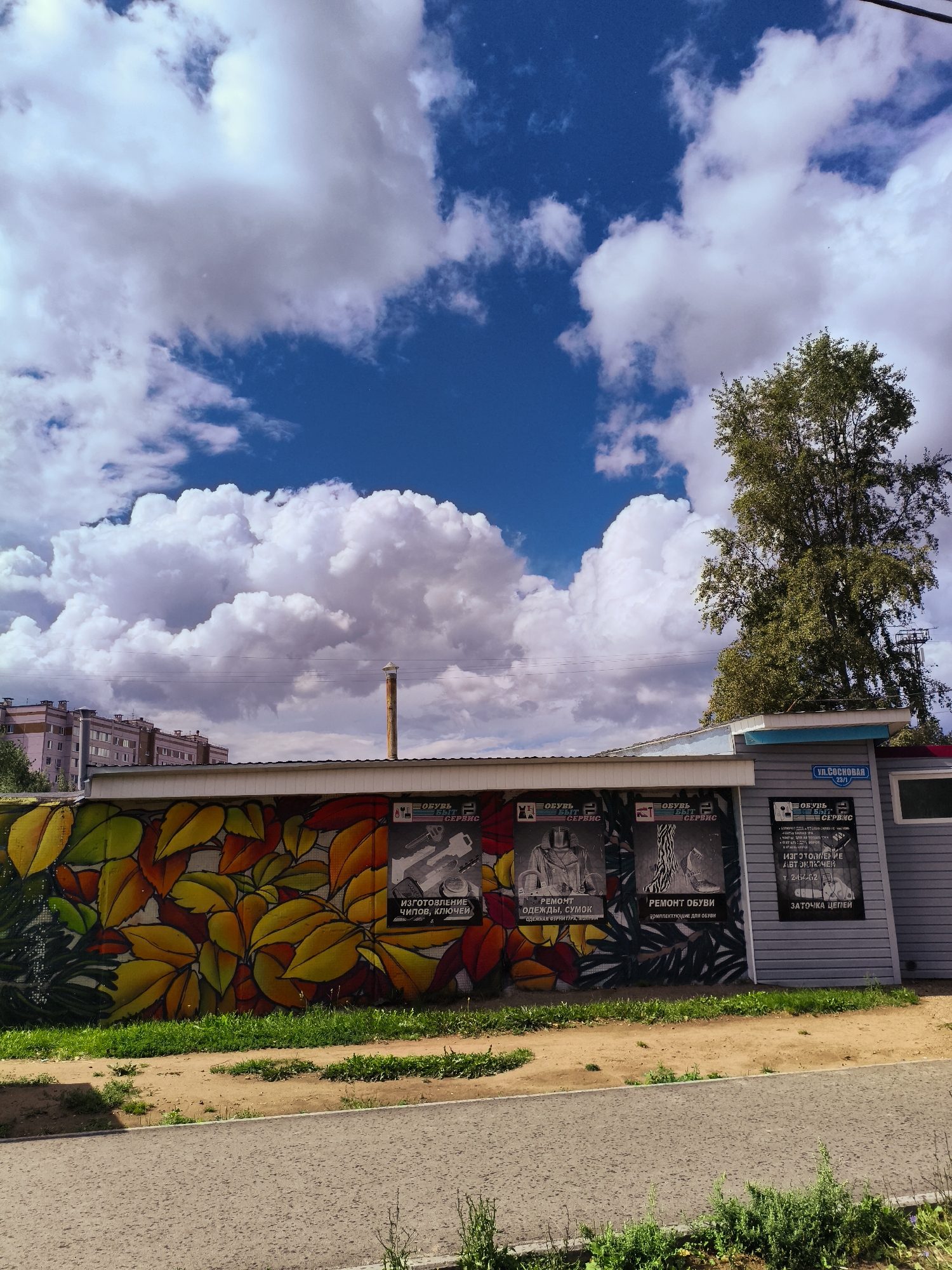 A low-angle, full shot captures a mural on a low-rise building, set against a backdrop of a bright blue sky filled with dramatic white cumulus clouds. The building's exterior features a white roofline and gray paneling on the right side. A mural dominates the left side of the wall, depicting a vibrant spray of yellow, orange, and red autumn leaves. To the right of the mural, three posters are affixed to the gray paneling. The leftmost poster shows a figure in a protective suit, with the text "ОБУВЬ БЫТ СЕРВИС" (Shoes Household Service) and "РЕМОНТ ОДЕЖДЫ, СУМОК" (Repair of Clothing, Bags). The middle poster features a close-up of zebra-print material and the text "РЕМОНТ ОБУВИ" (Shoe Repair). The rightmost poster displays keys and the text "ИЗГОТОВЛЕНИЕ АВТОКЛЮЧЕЙ" (Car Key Manufacturing) and "ЗАТОЧКА ЦЕПЕЙ" (Chain Sharpening). Above the posters, a blue sign reads "ул. Сосновая 23/1" (Sosnovaya Street 23/1), indicating the location as Chaikovsky, Russia. Behind the building, a tall, slender brick chimney rises into the sky, and to the far right, a large, dense green tree stands. In the background, to the left, a multi-story apartment building is visible. The foreground shows a dirt path leading to a paved road, with green grass and weeds growing along the edges.