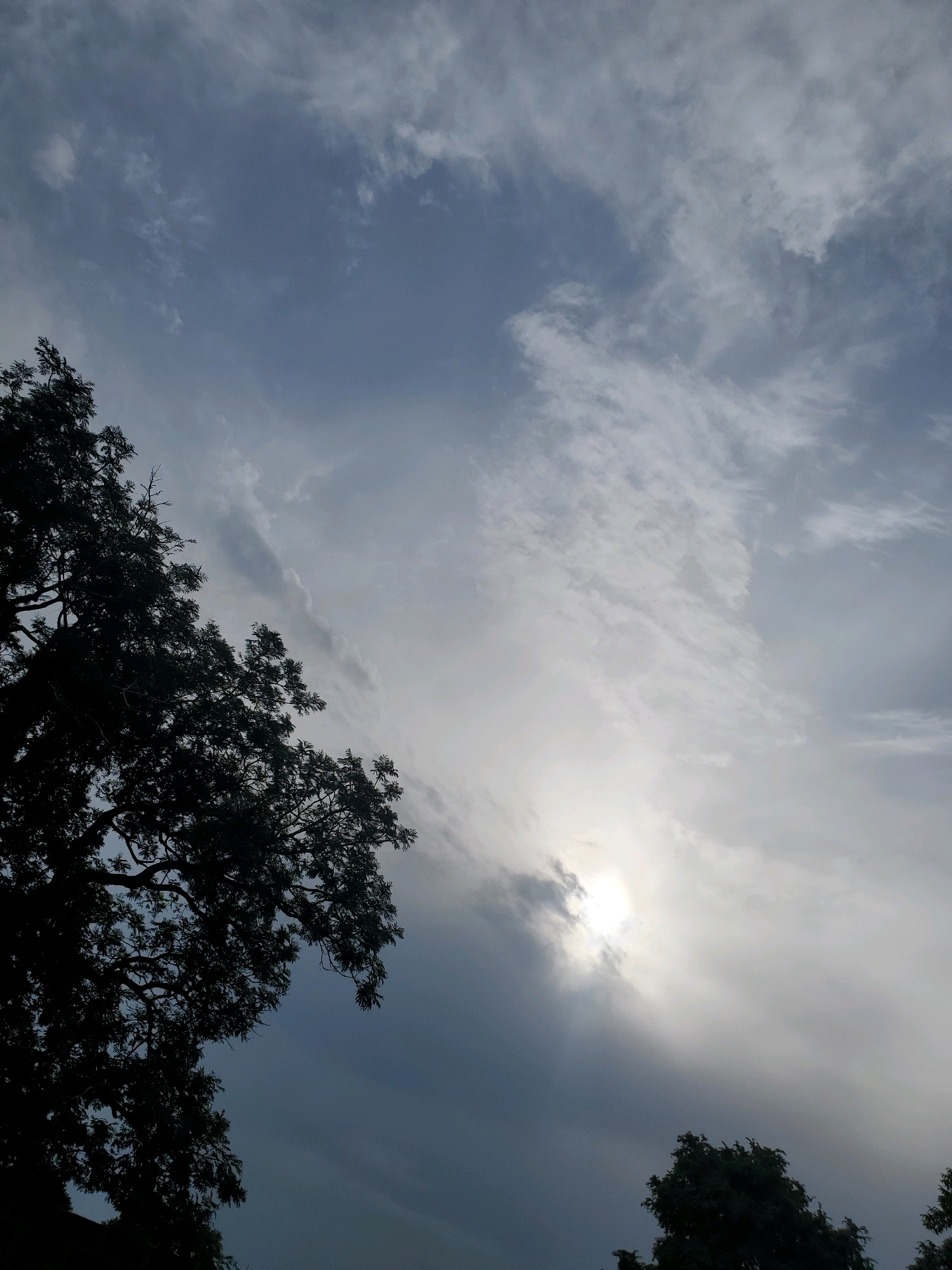 The image displays a sky with scattered clouds and the sun partially obscured by them. A silhouetted tree with dense foliage occupies the left and lower portions of the frame, extending upwards from the bottom left corner. The sky is a mix of light and dark blues and grays, with wispy clouds creating texture. The sun is a bright, concentrated light source, peeking through a gap in the clouds, casting a soft glow. In the lower right corner, the tops of two other trees are visible, also in silhouette. The scene appears to be an outdoor environment, possibly a park or a residential area, given the presence of trees. The specific location in Bauchi, Nigeria cannot be determined from the visual information alone, as there are no recognizable landmarks or contextual clues specific to the city. The overall impression is one of natural scenery during a time when the sun is not fully visible.